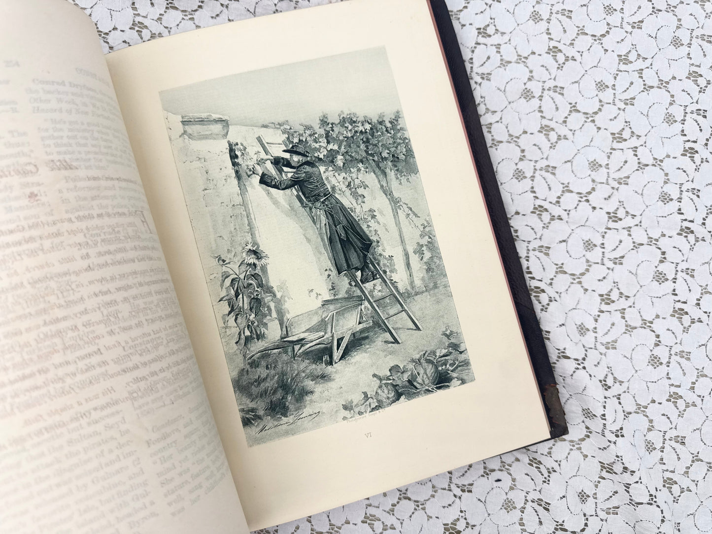 Illustrated Book (4 Different Volumes Available)