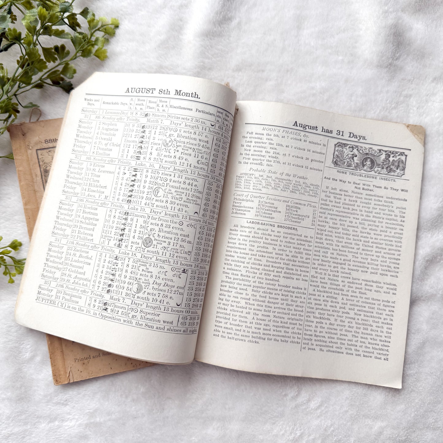 Vintage Almanac Set