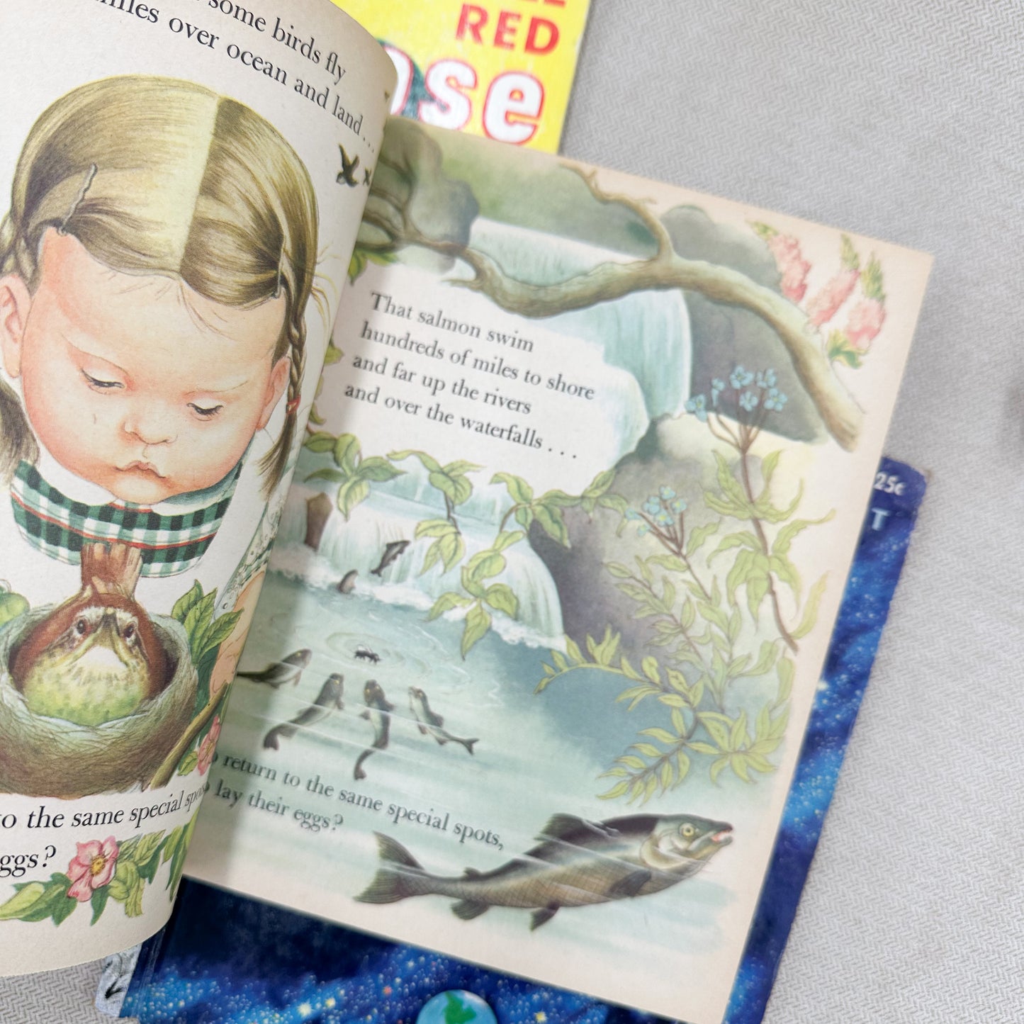 Set of Children's Books