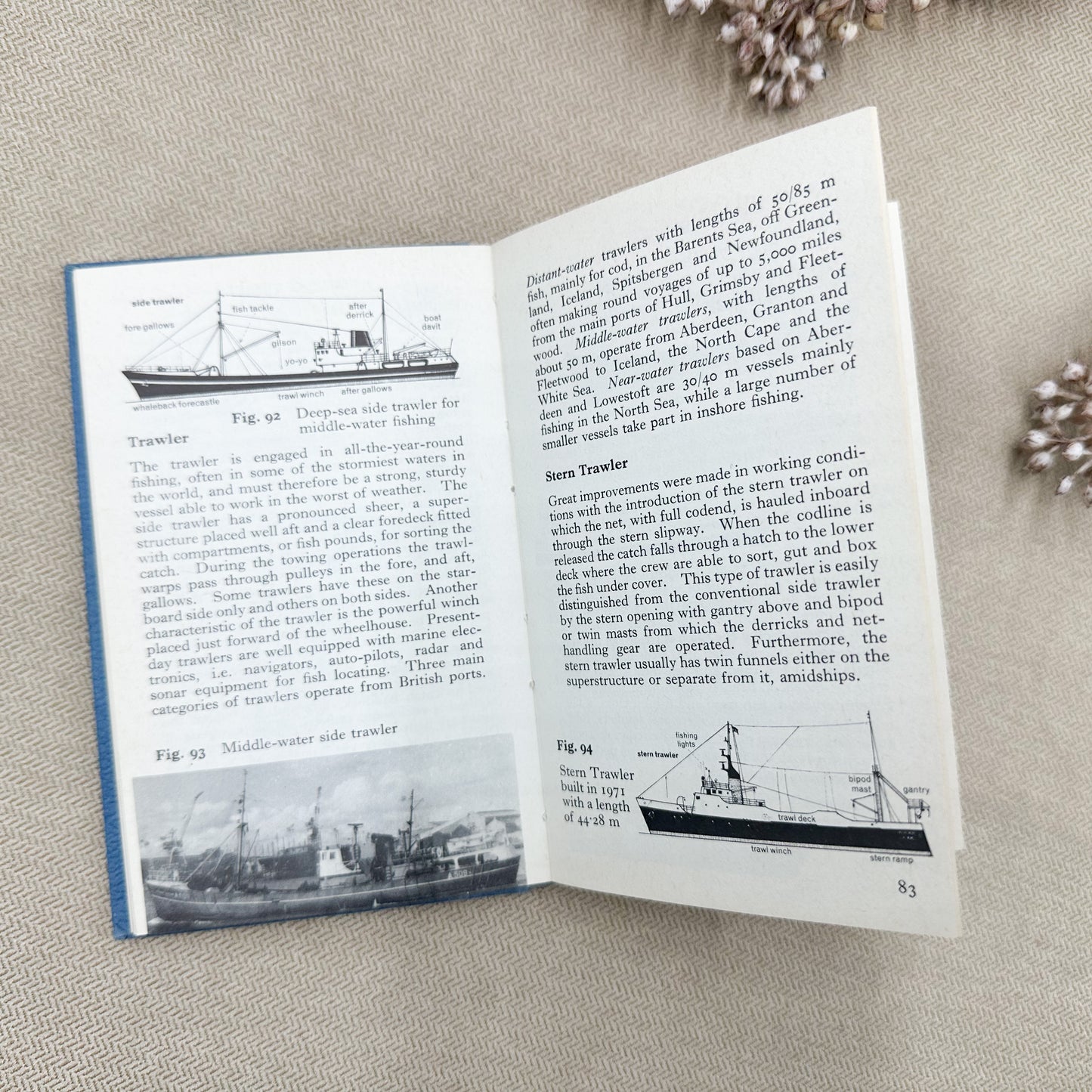 The Observer's of Ships