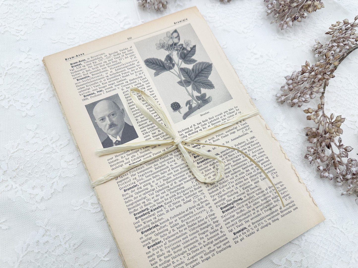 Foreign Language Pictorial Encyclopedia Pack