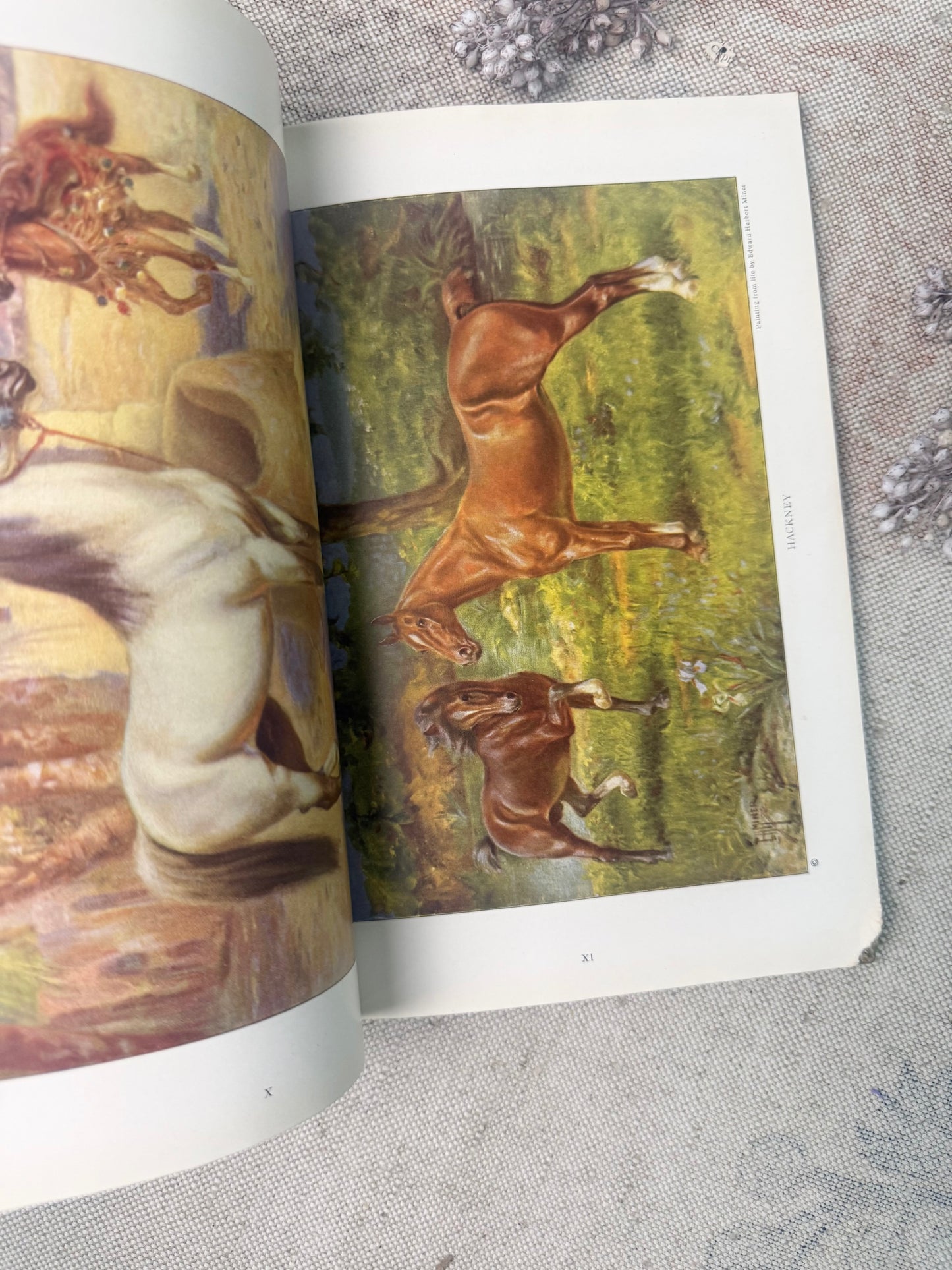 National Geographic Magazine