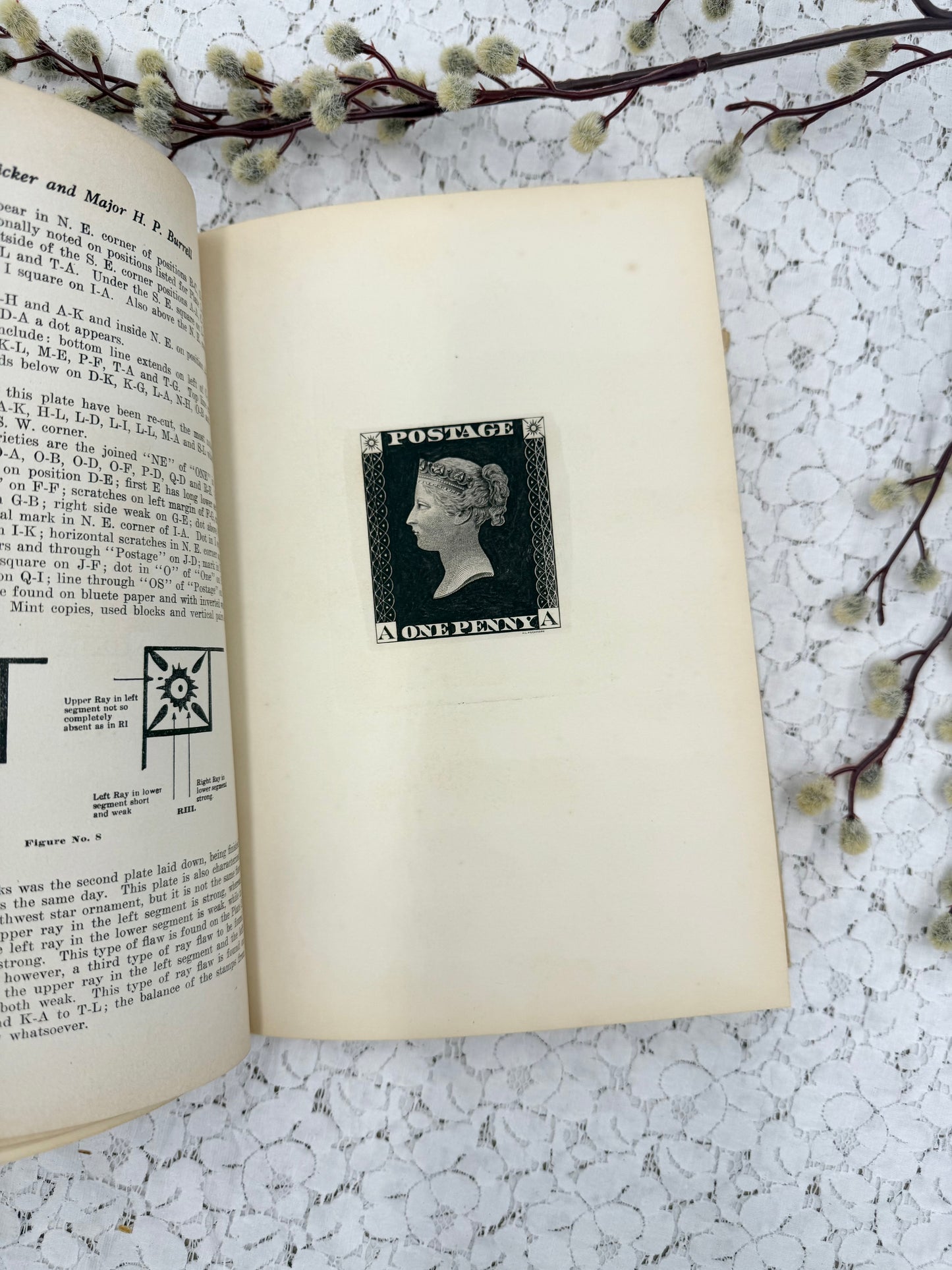 Stamp Specialist Book