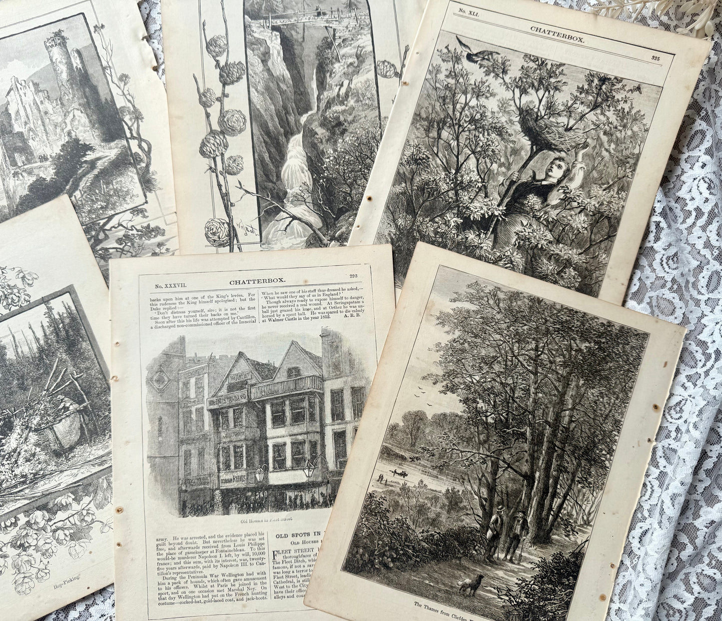 Vintage Chatterbox Illustrations