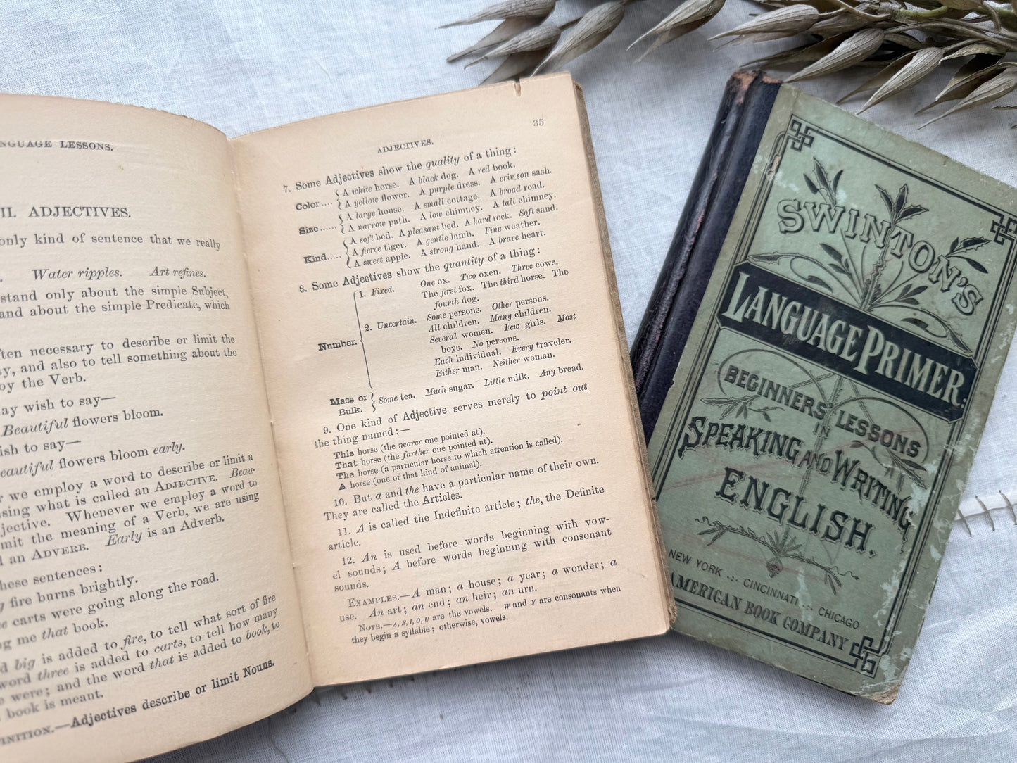 Vintage Textbooks