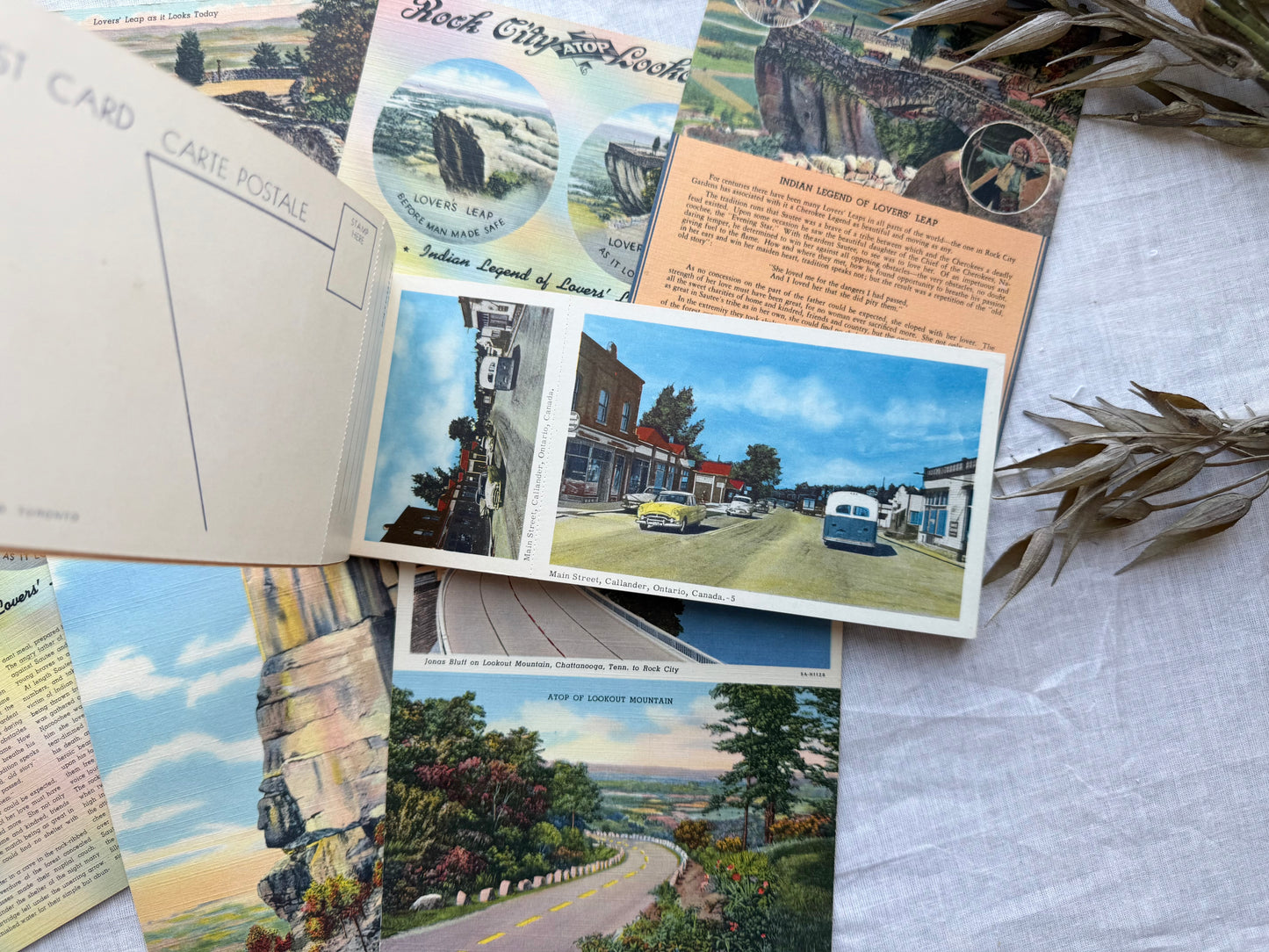 Vintage Postcard Set