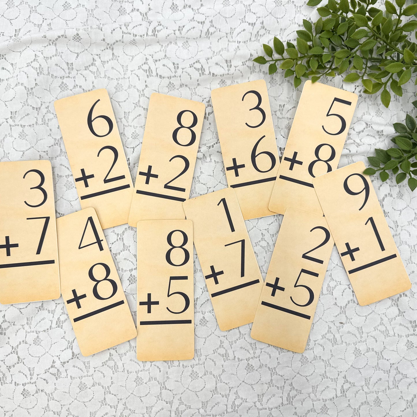 Reproduction Flashcards