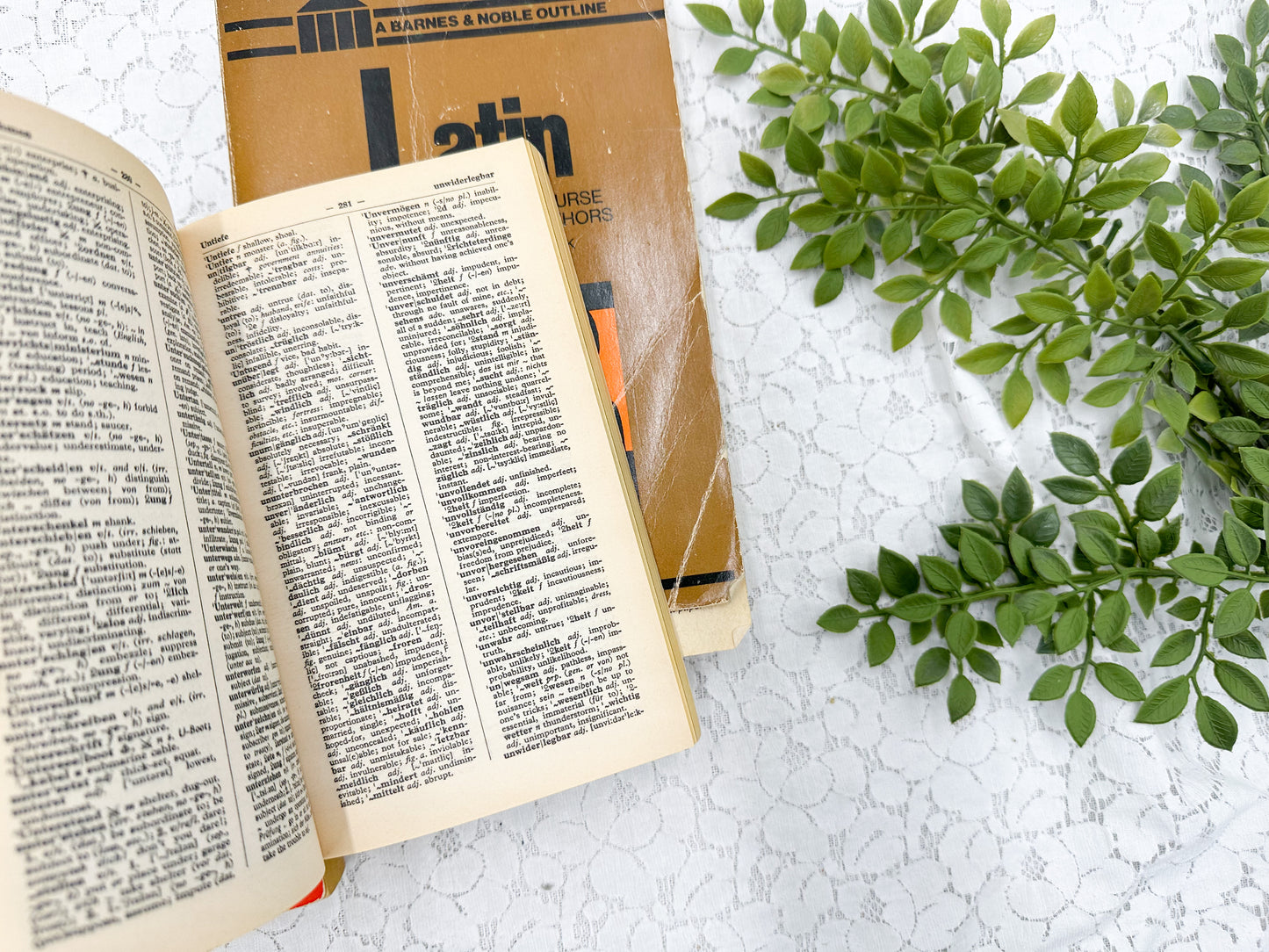 Foreign Language Book Set