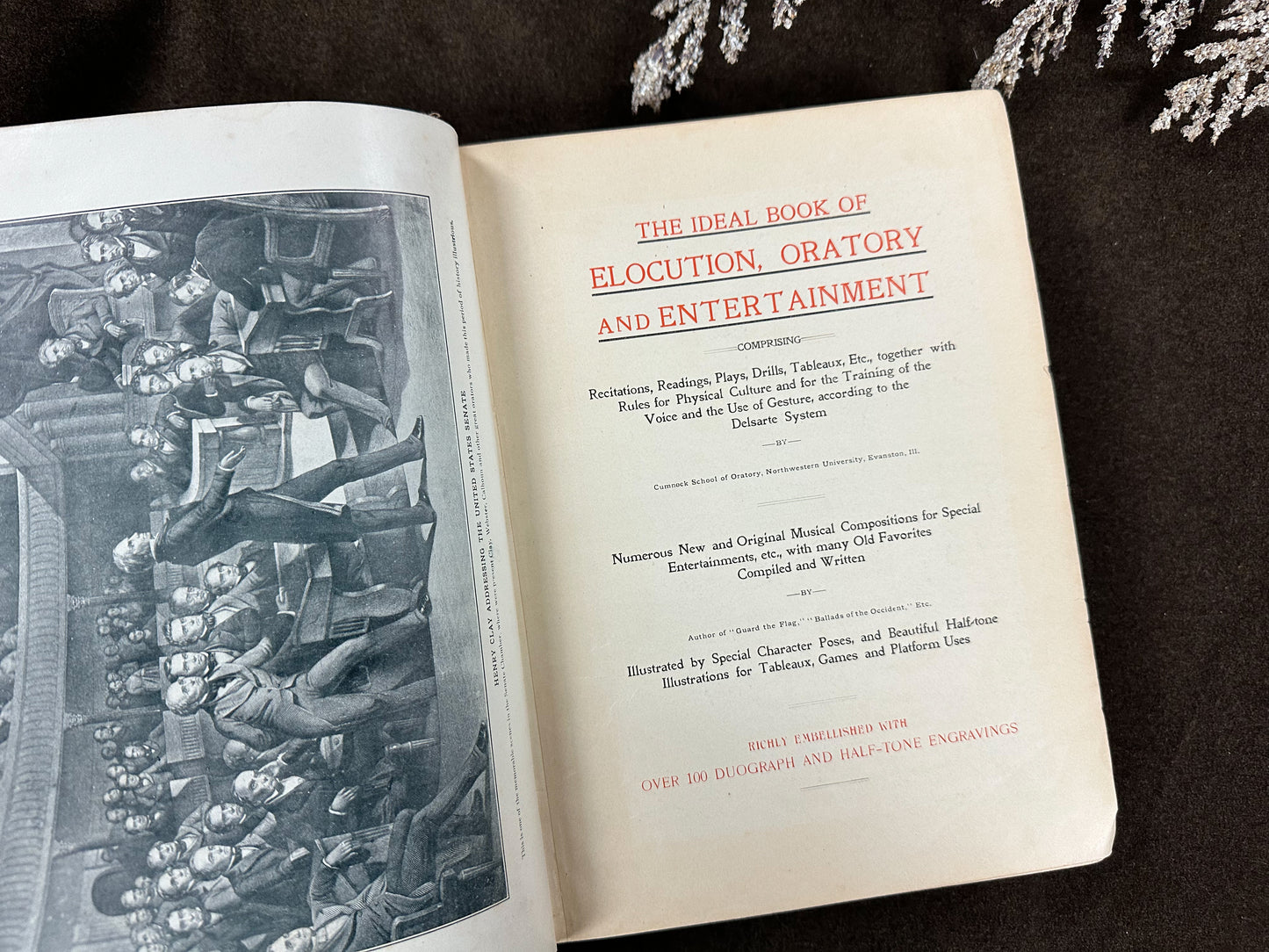 The Ideal Book of Elocution- 1902