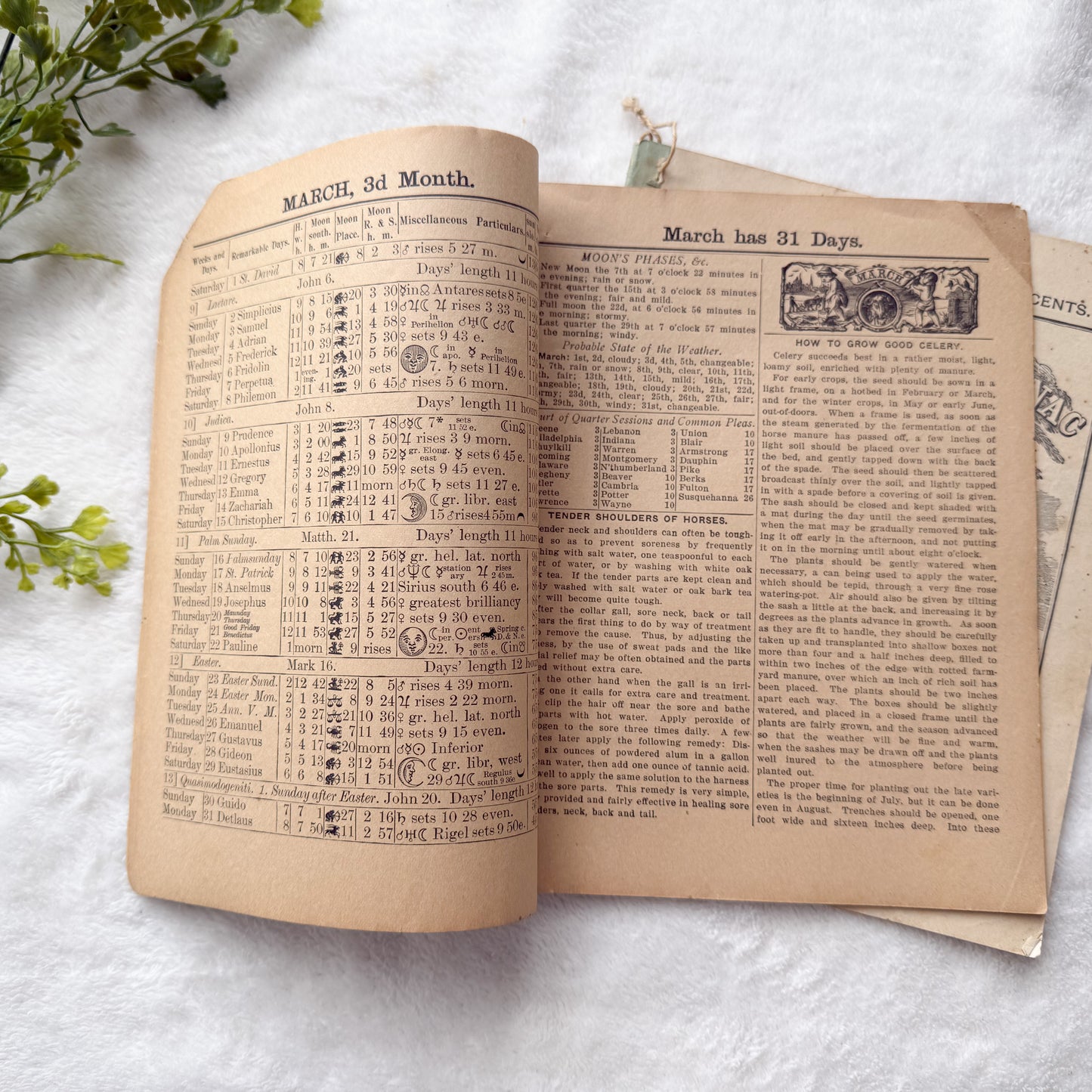 Vintage Almanac Set