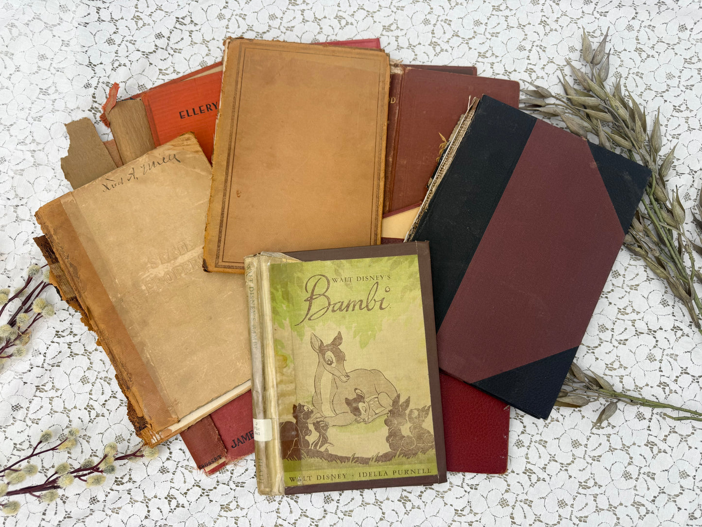 Set of Vintage Book Covers