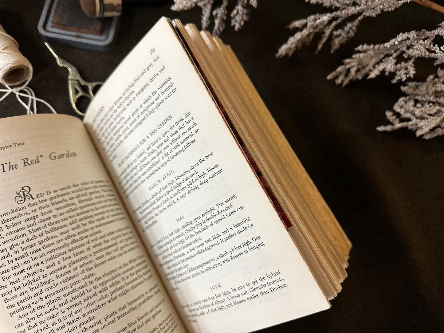 Beautiful Vintage Book