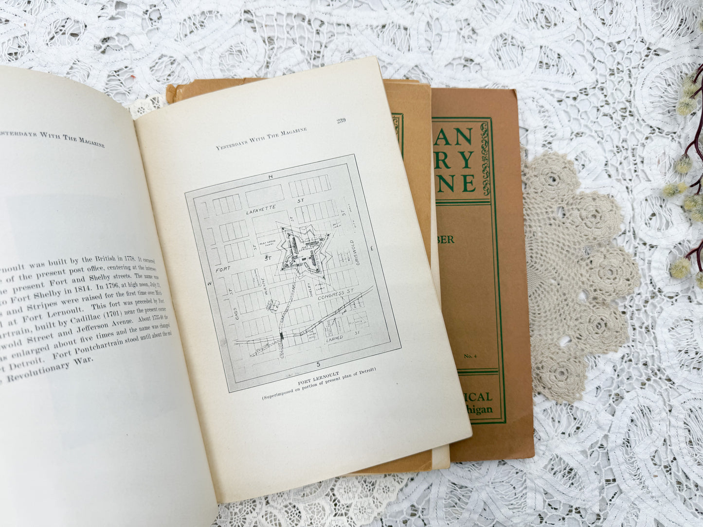Michigan History Books