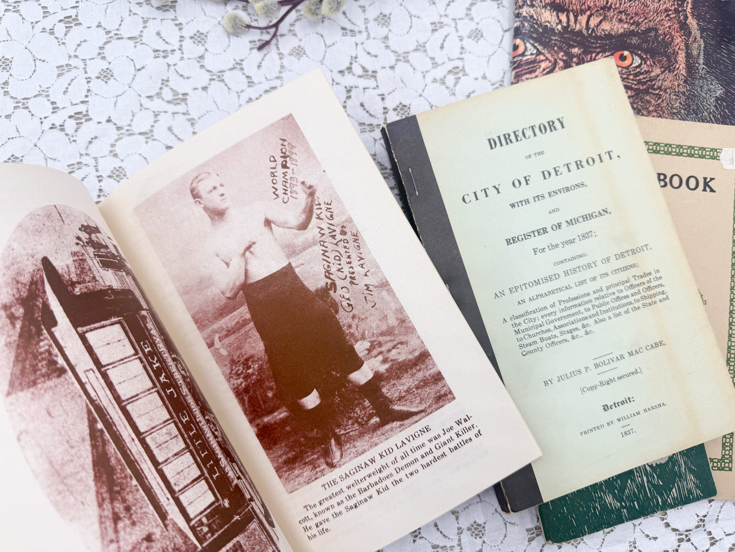 Vintage Michigan Books