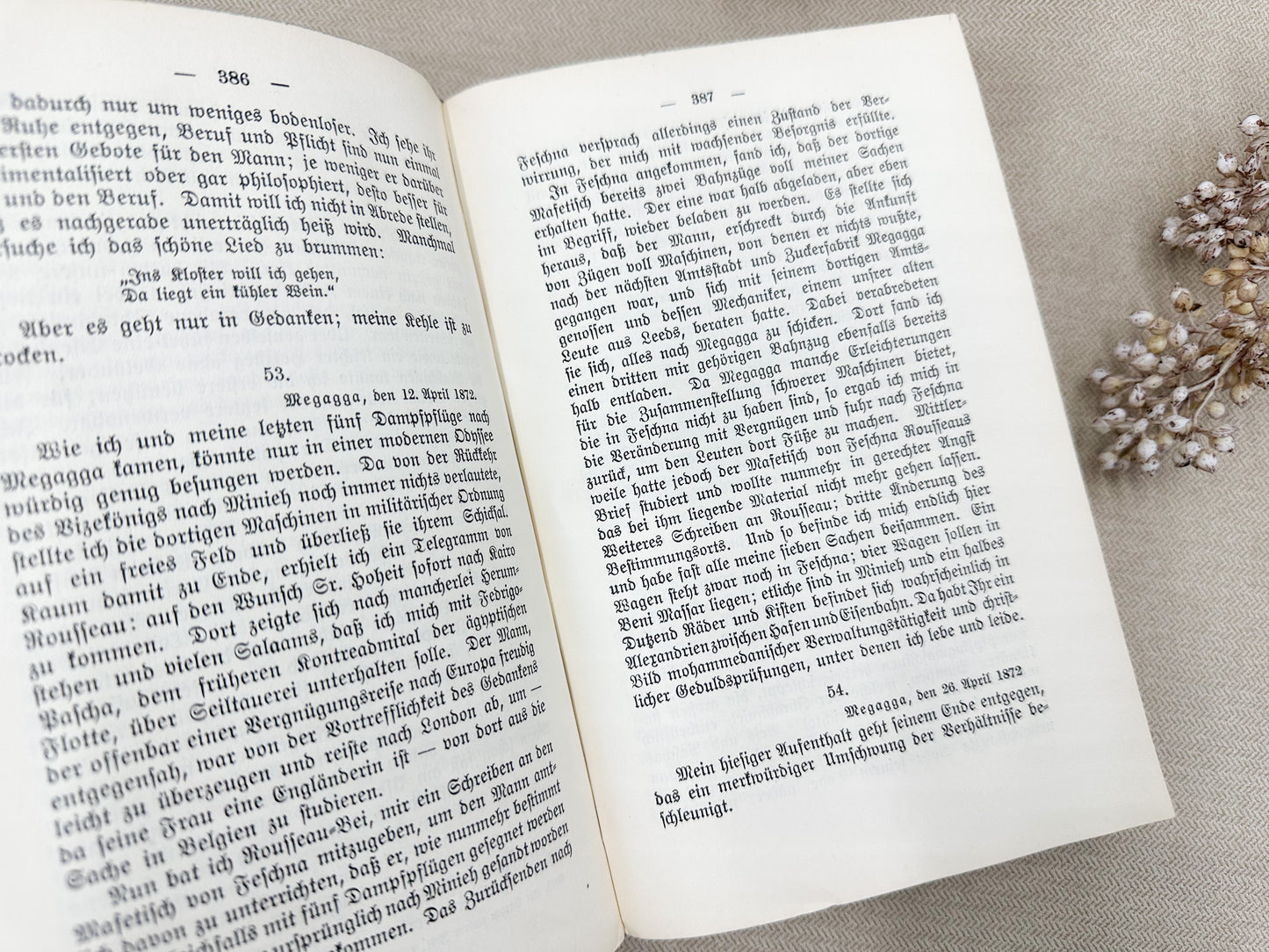 Set of Two Vintage Foreign Language Books