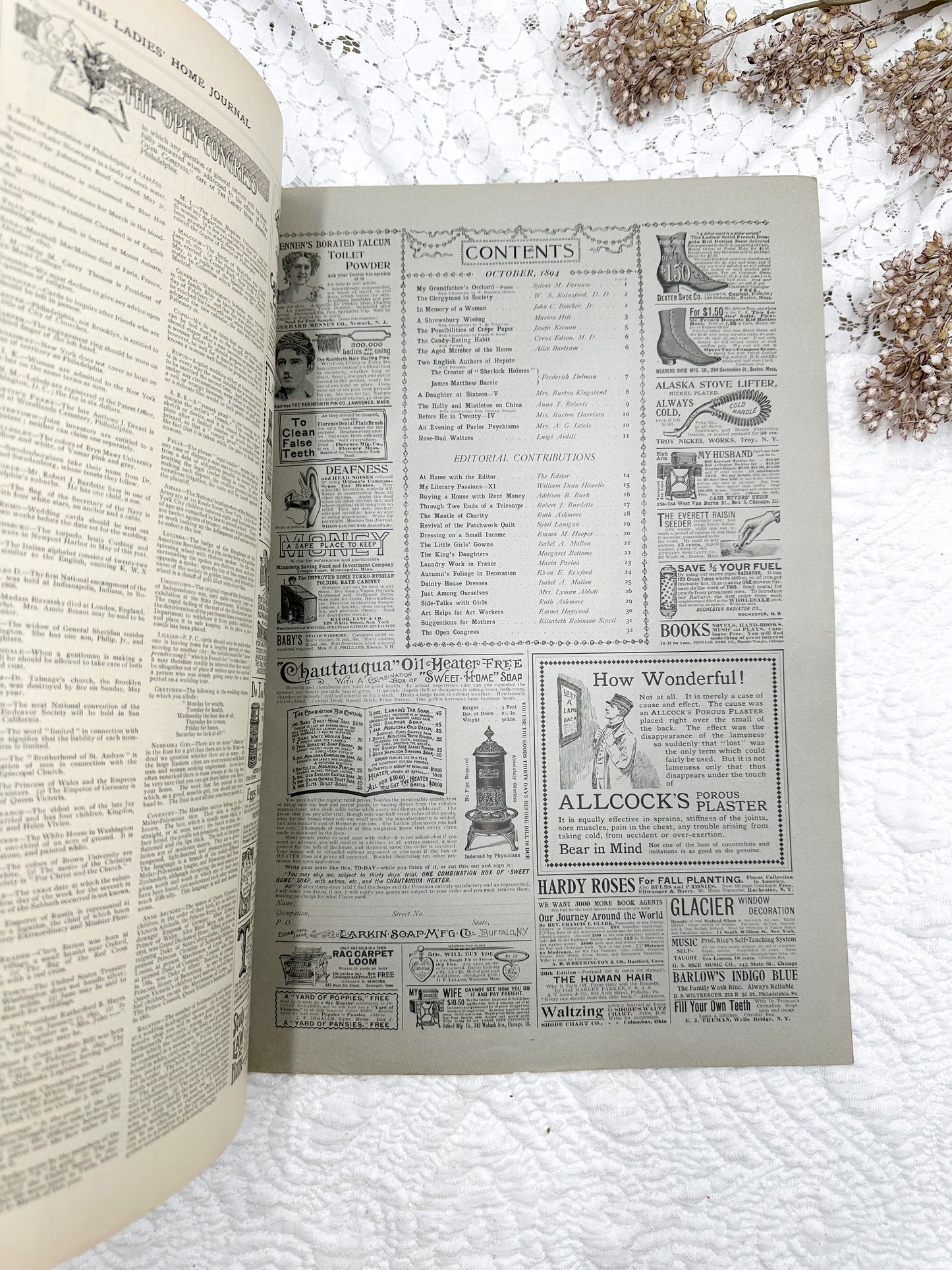 1894 Ladies Home Journal Magazine