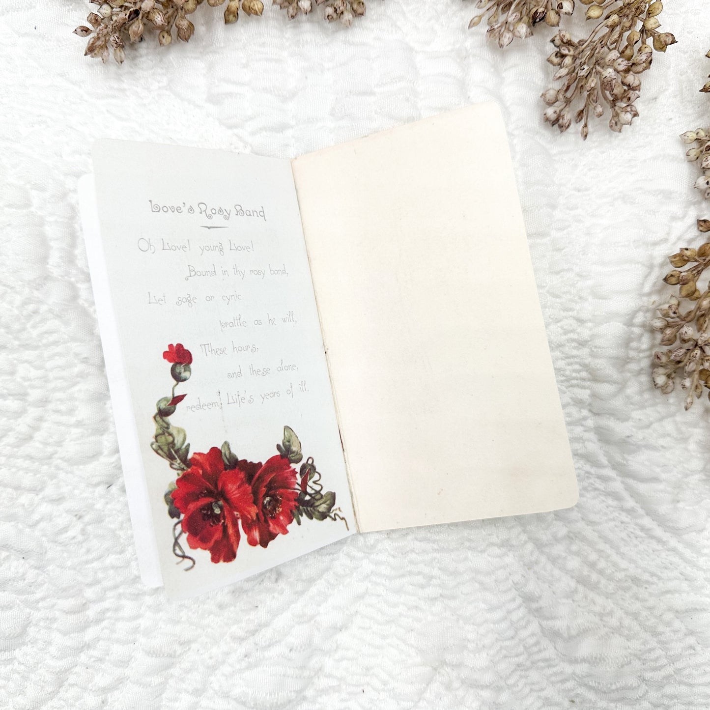 Beautiful Secret Booklet- Project Template Digital Download