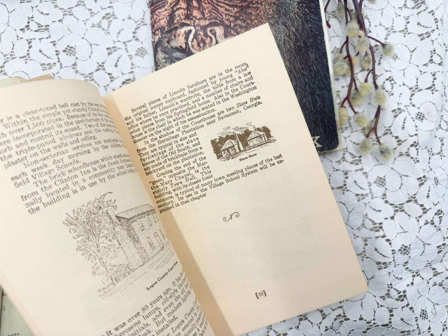 Vintage Michigan Books