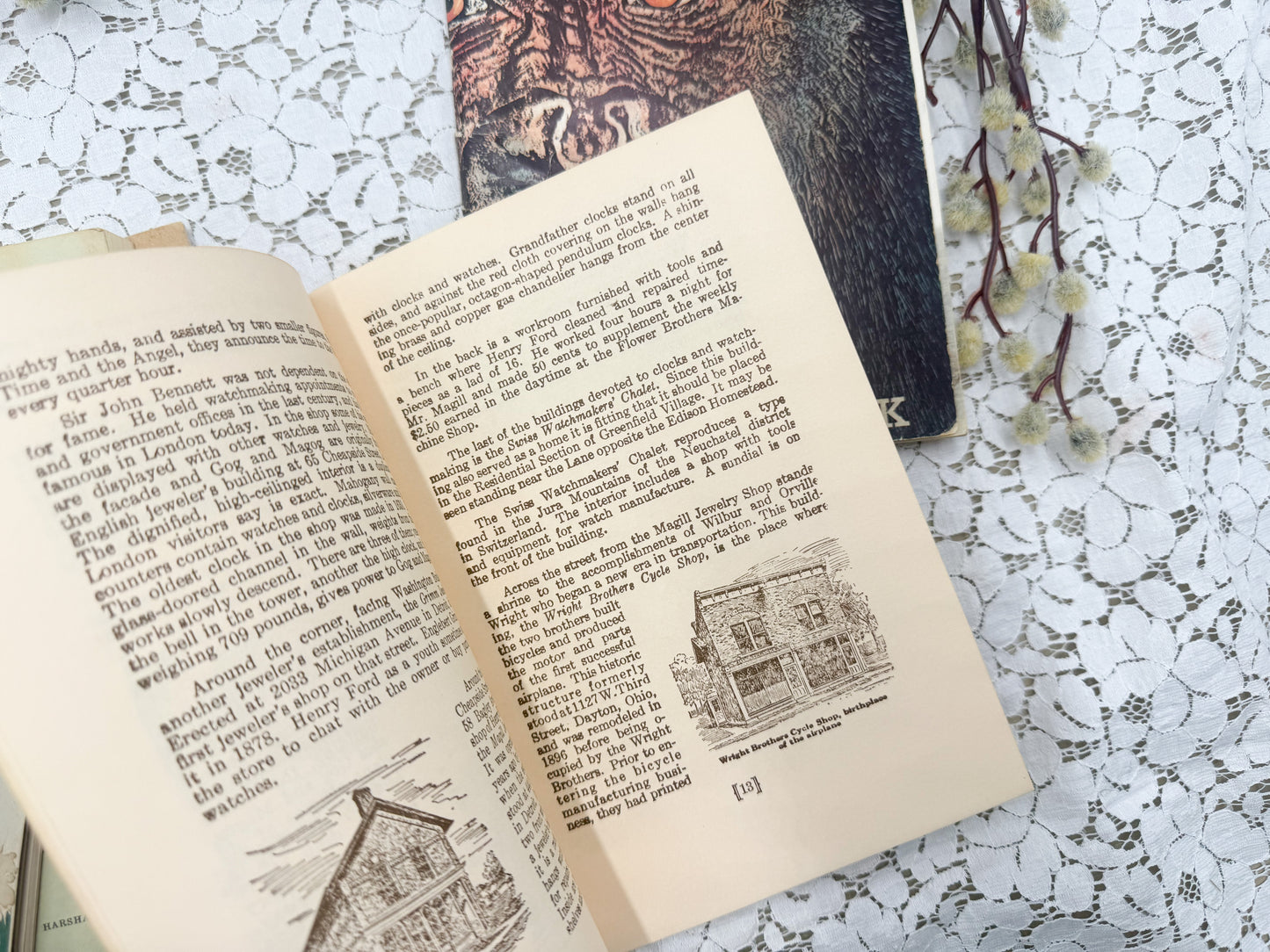 Vintage Michigan Books