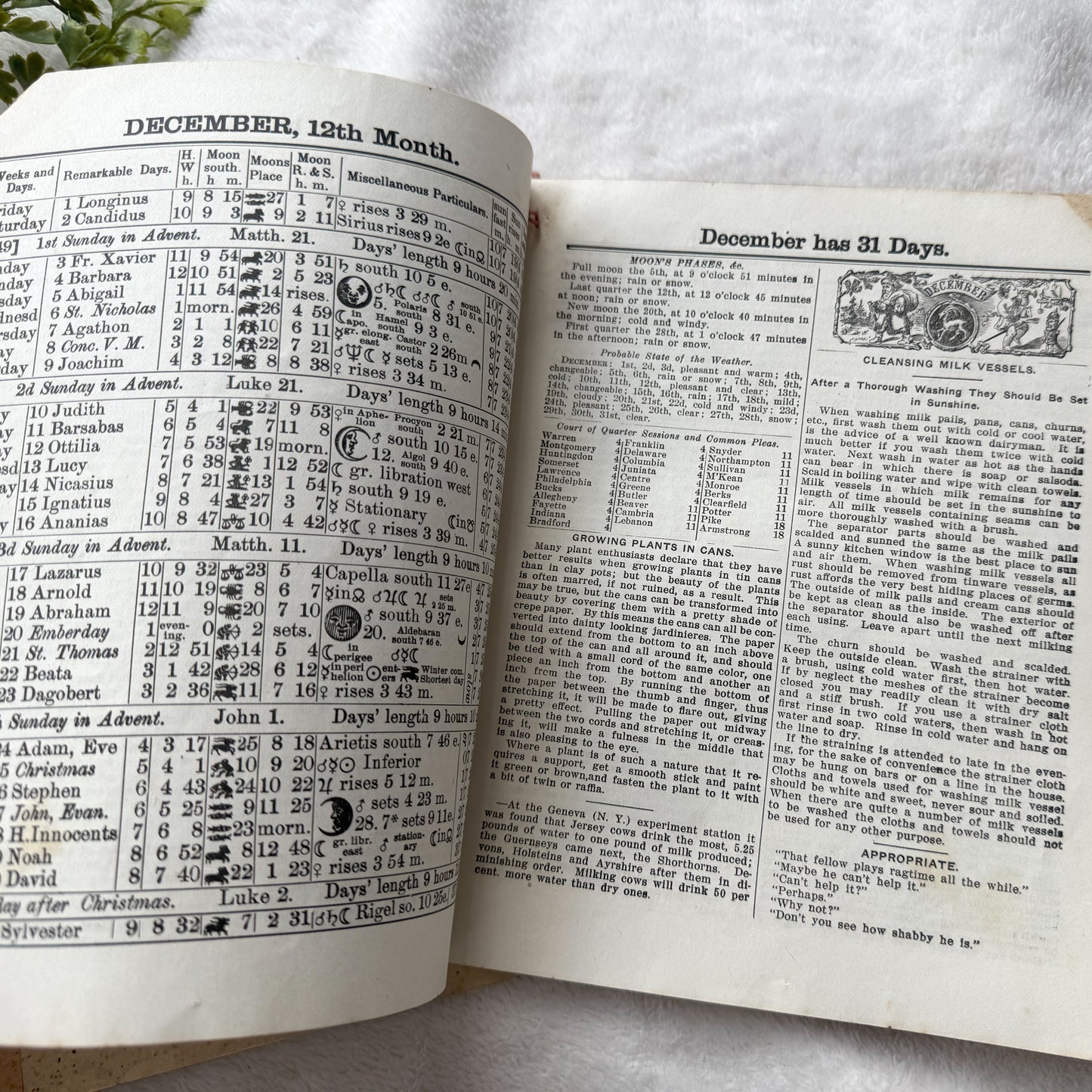 Vintage Almanac Set