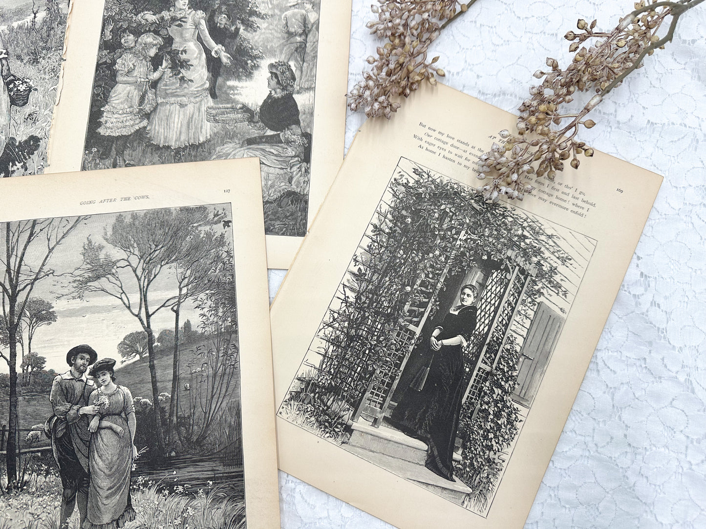 Vintage Print Set