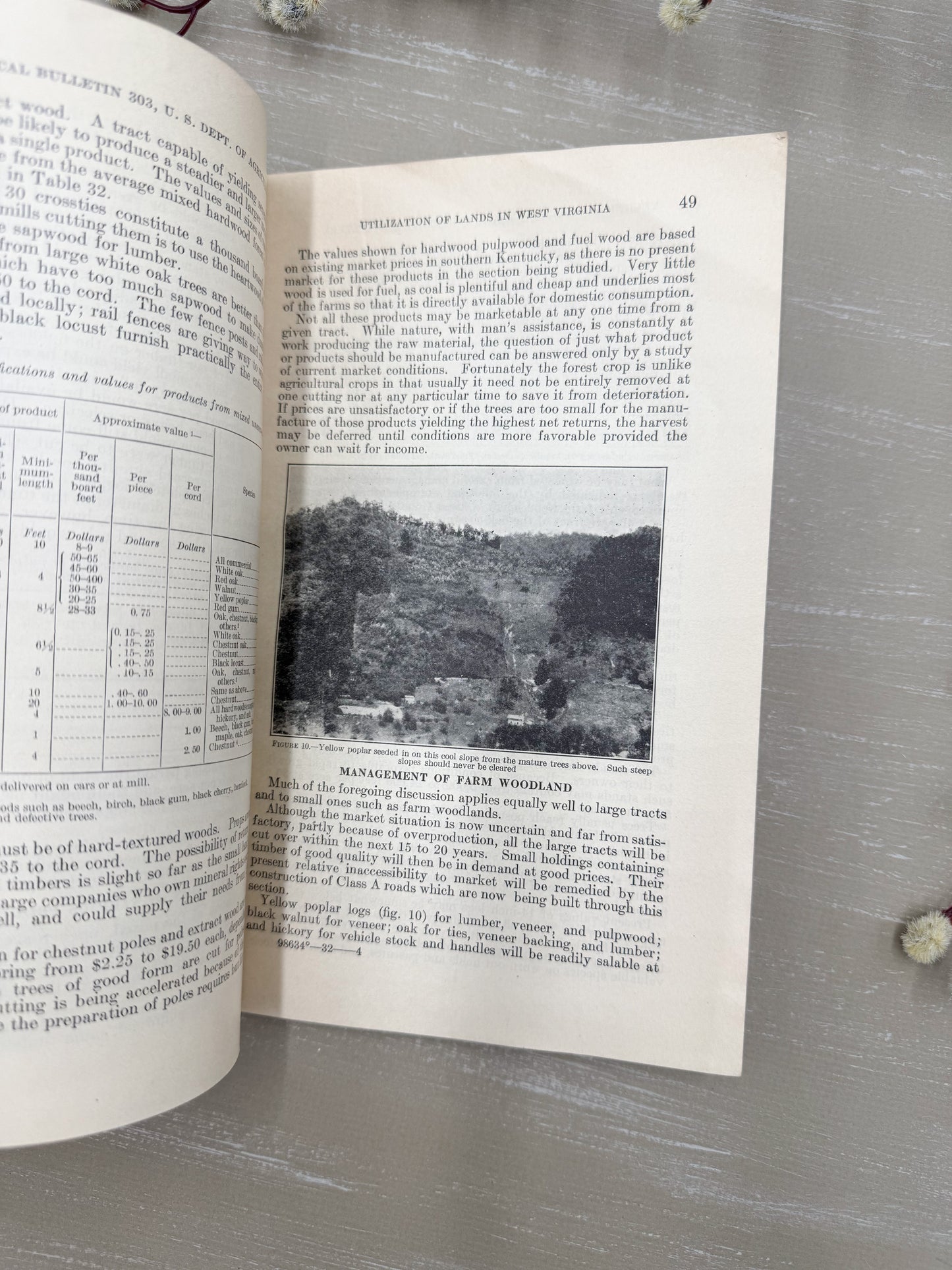 Vintage Book with Fold Out Maps