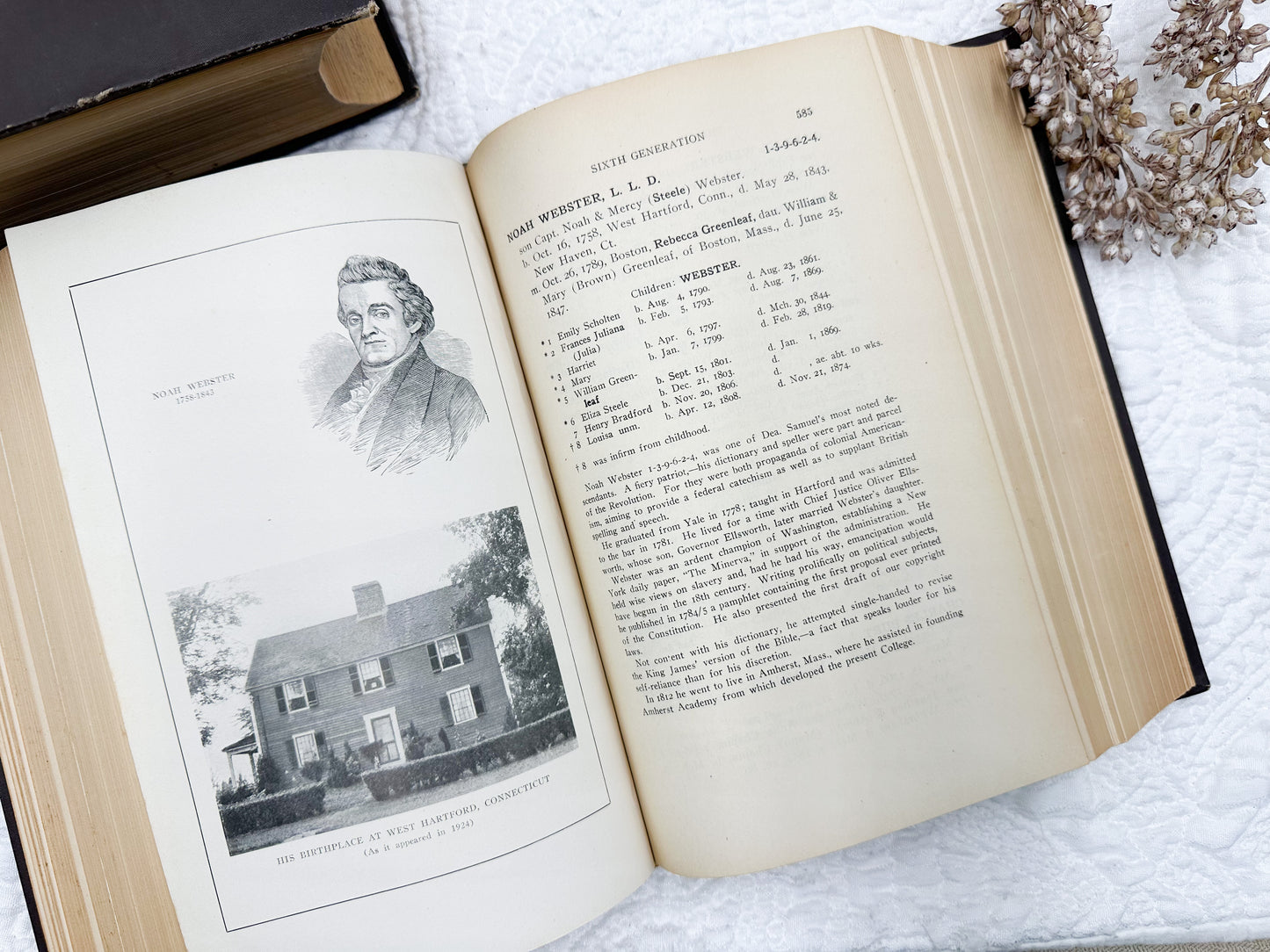 Vintage Genealogy