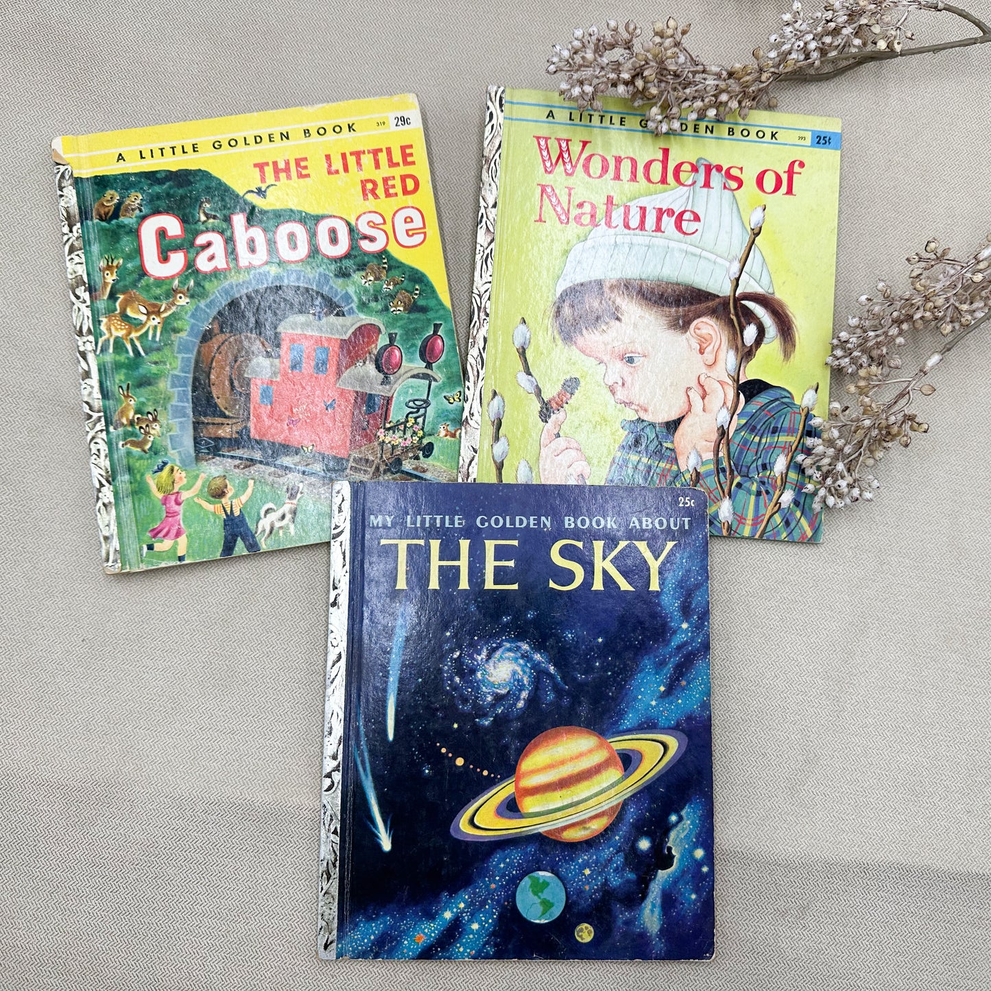Set of Children's Books