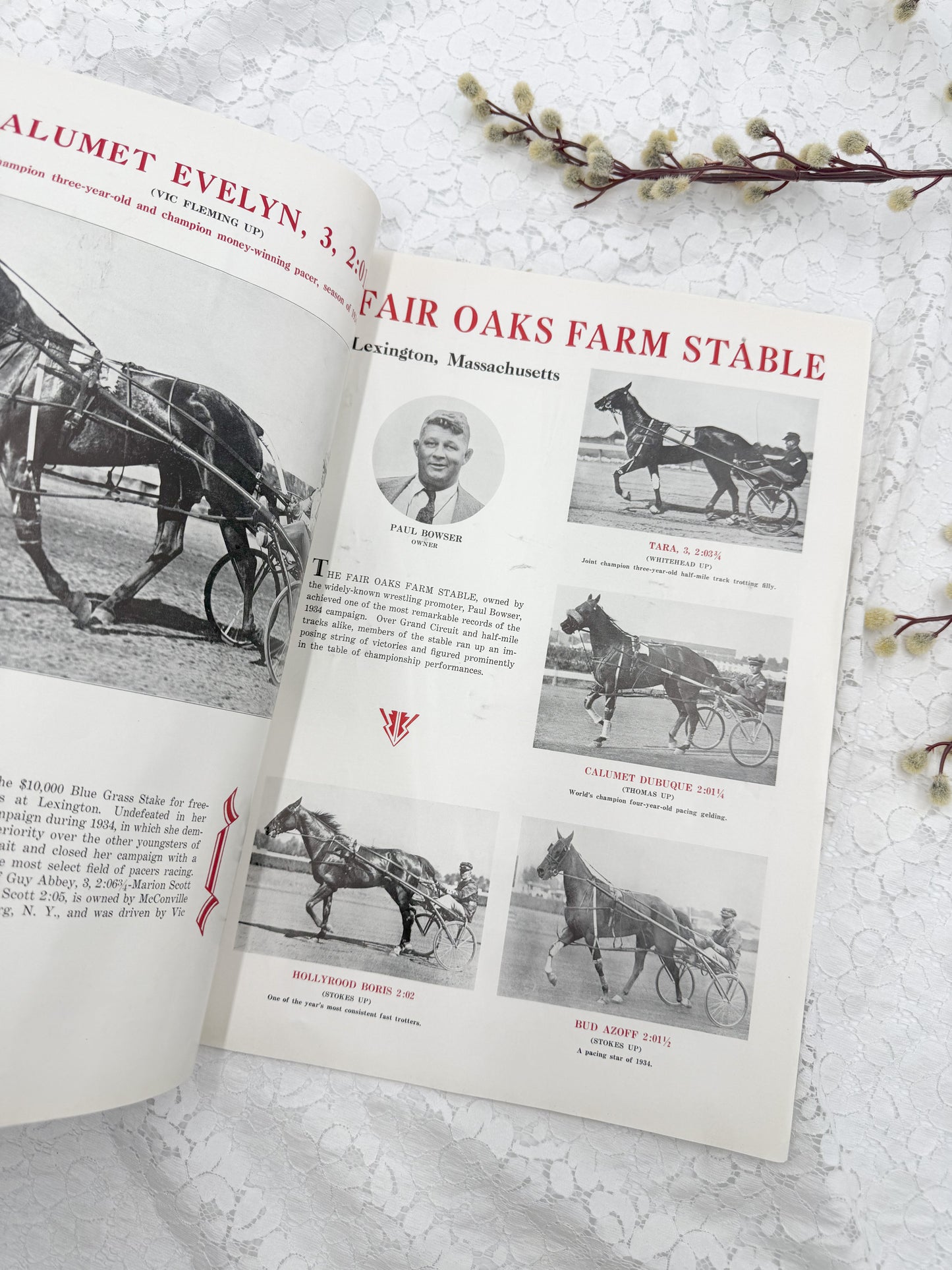 Vintage Horseman Magazine