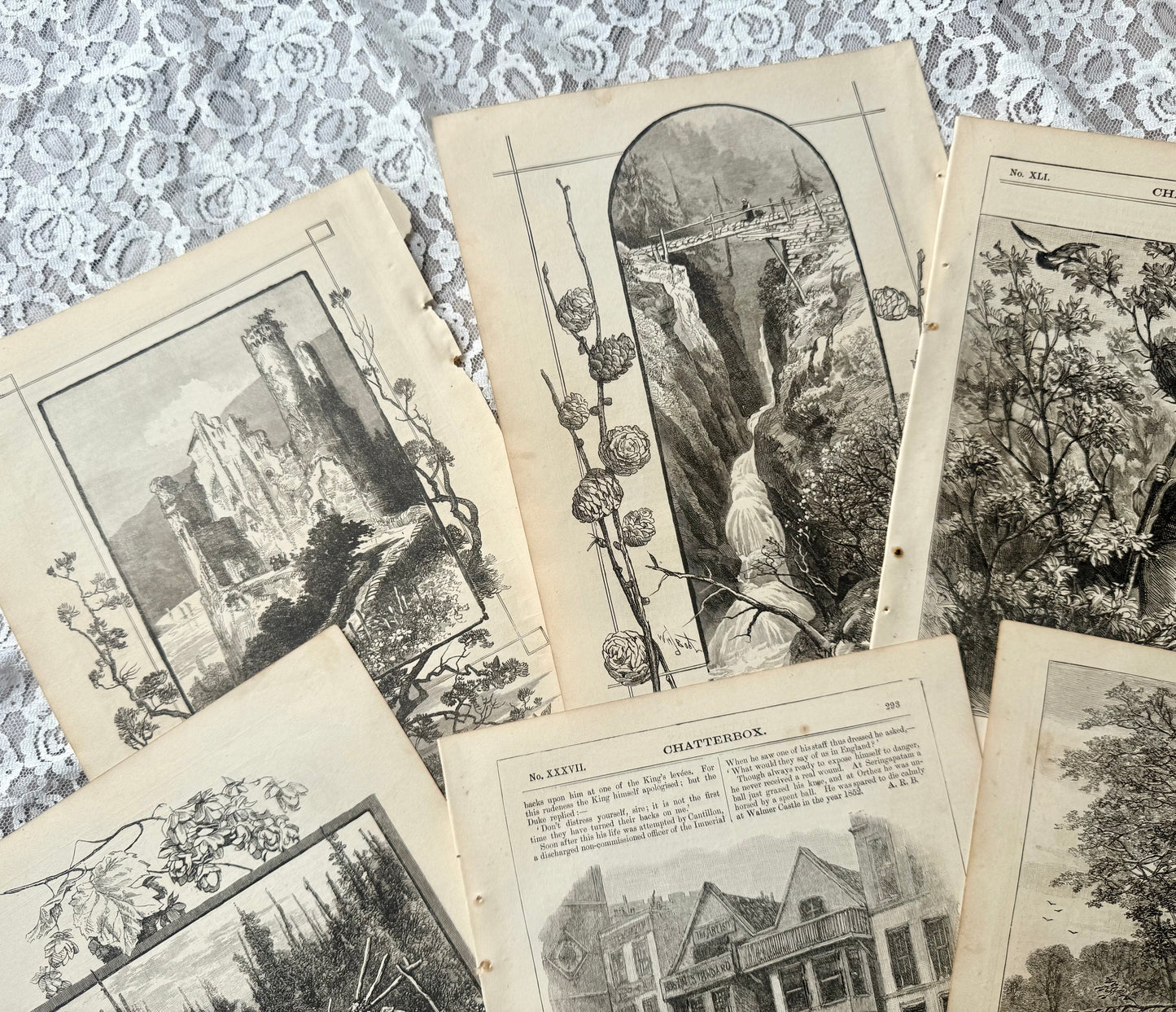 Vintage Chatterbox Illustrations