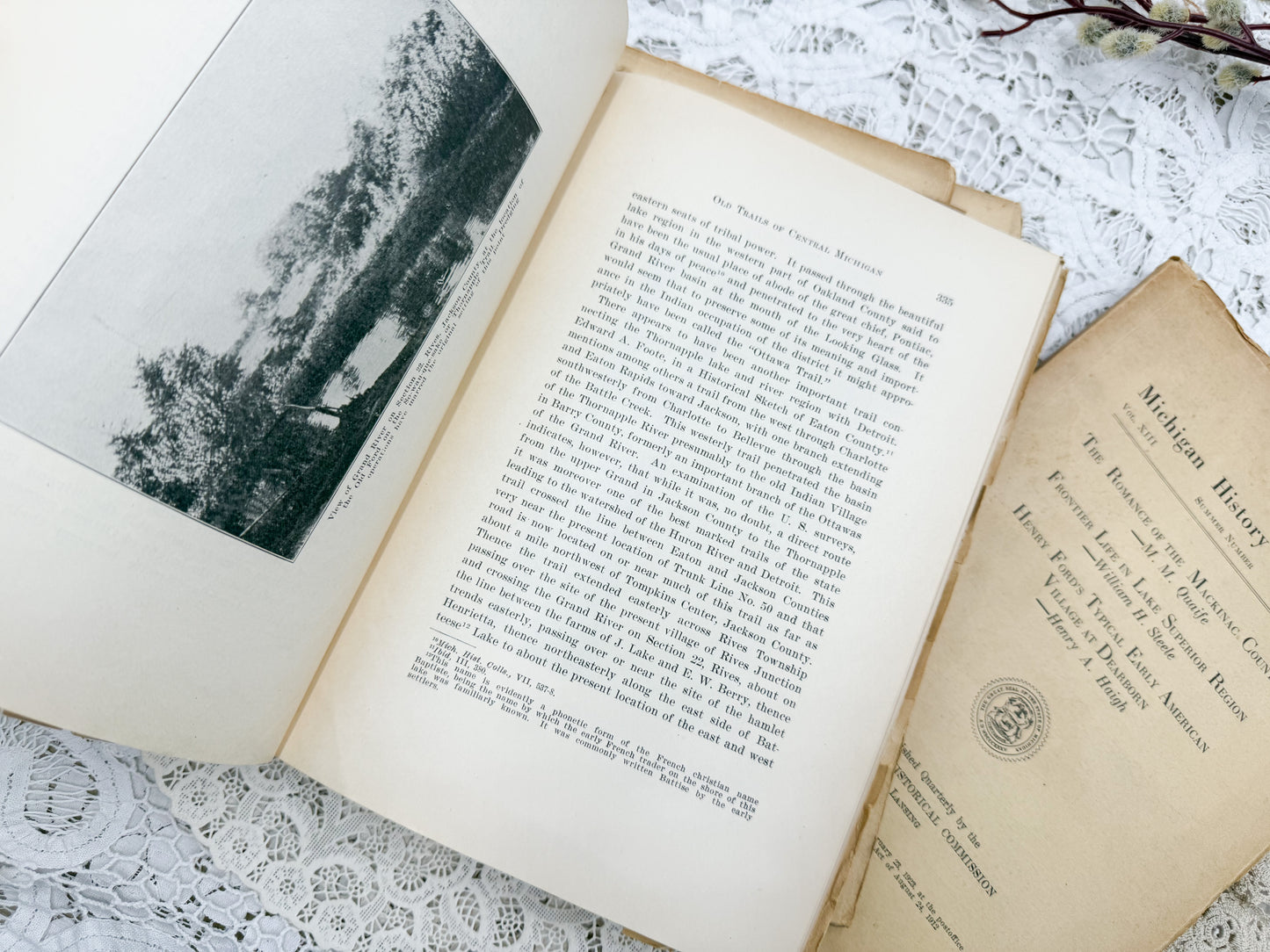 Michigan History Books