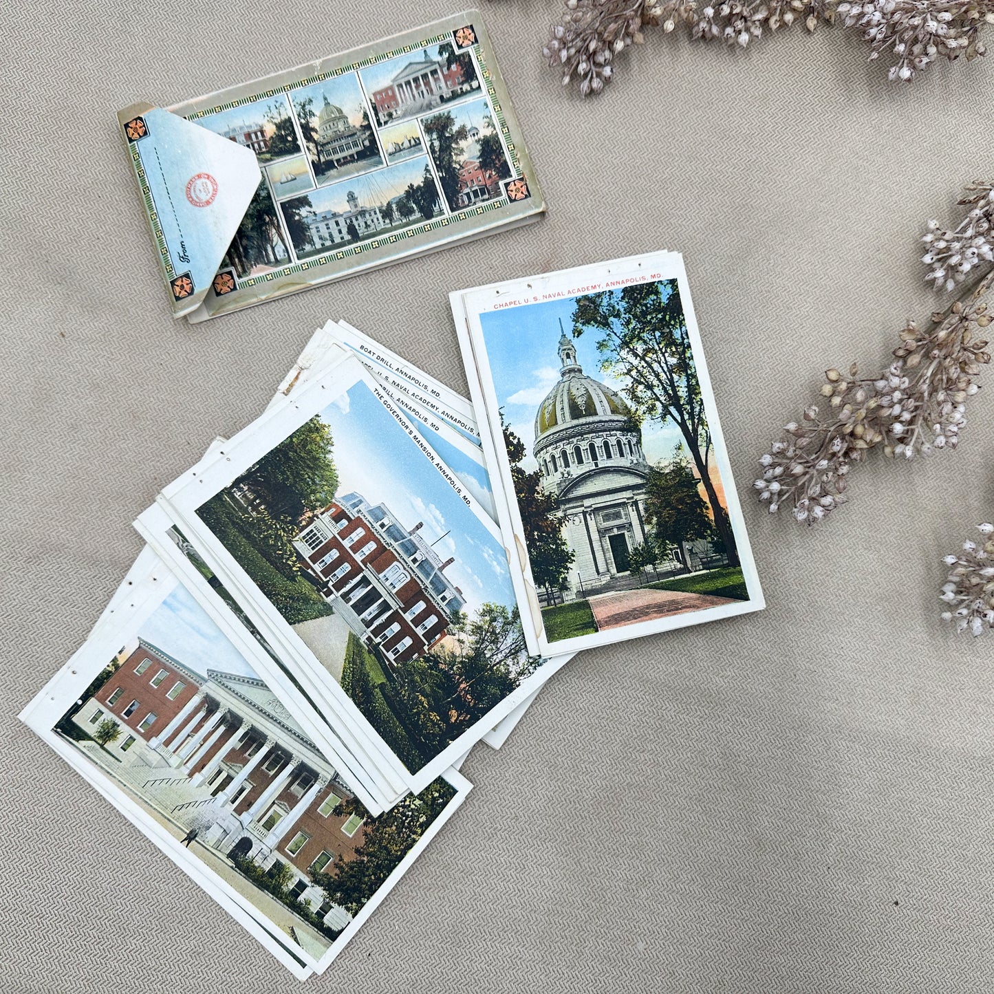 Annapolis Set of Postcards
