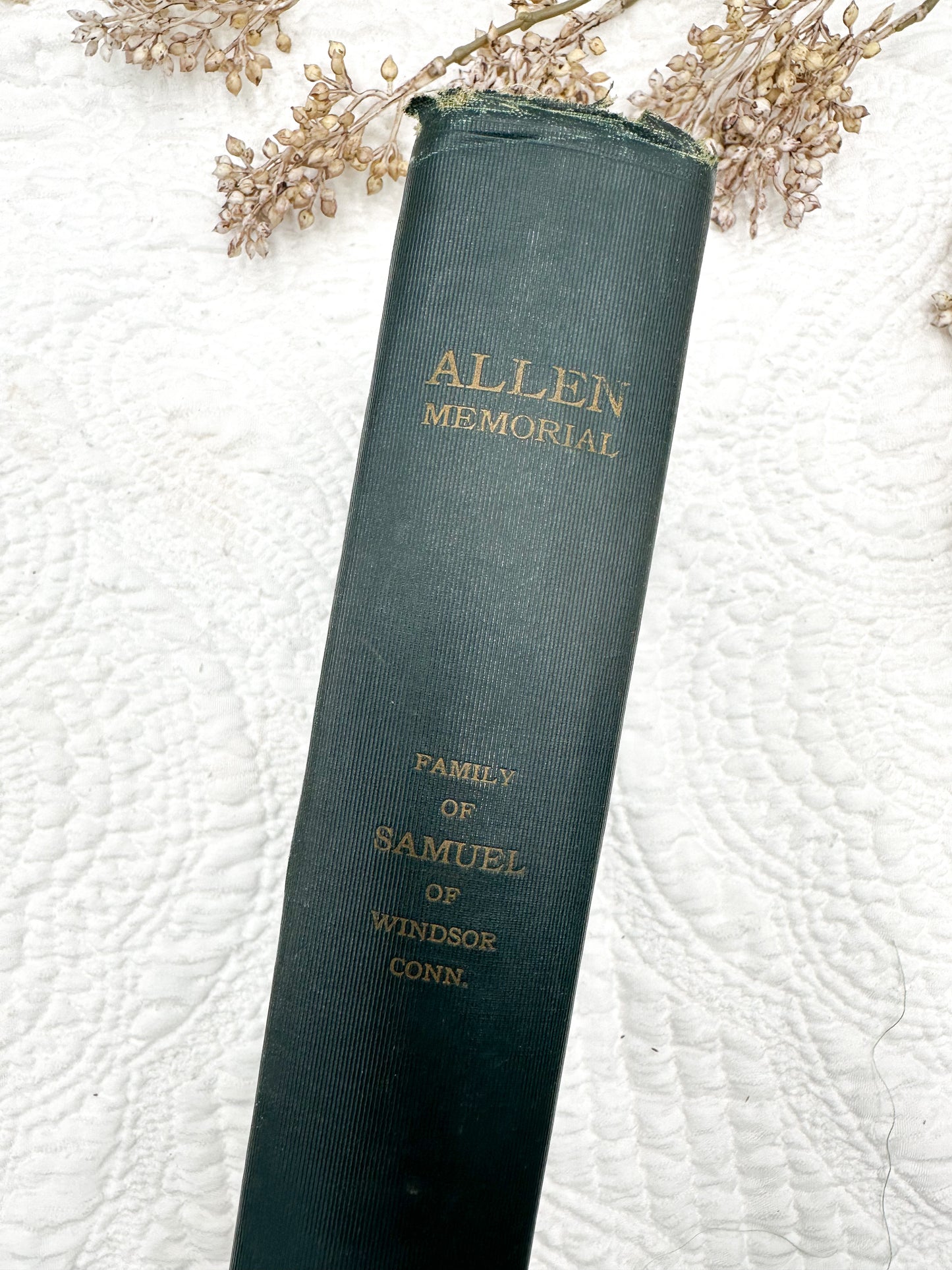 Vintage Genealogy