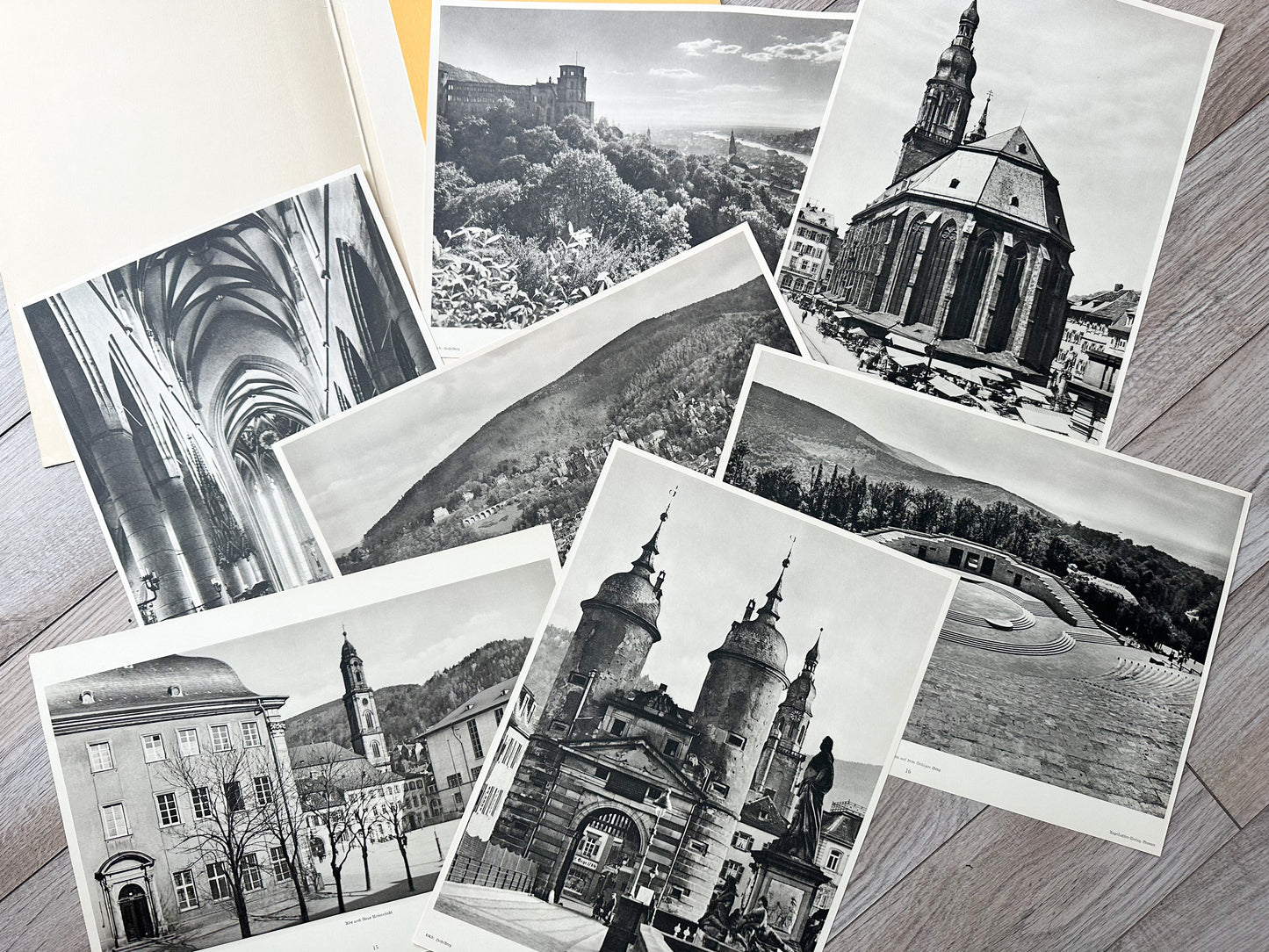 Seideberg Prints (Set of 17)