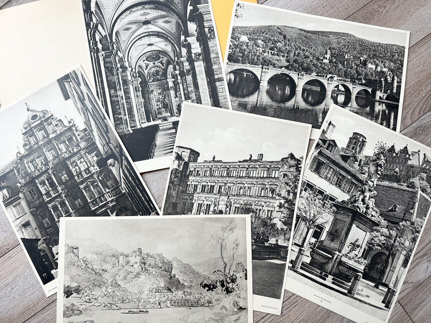 Seideberg Prints (Set of 17)