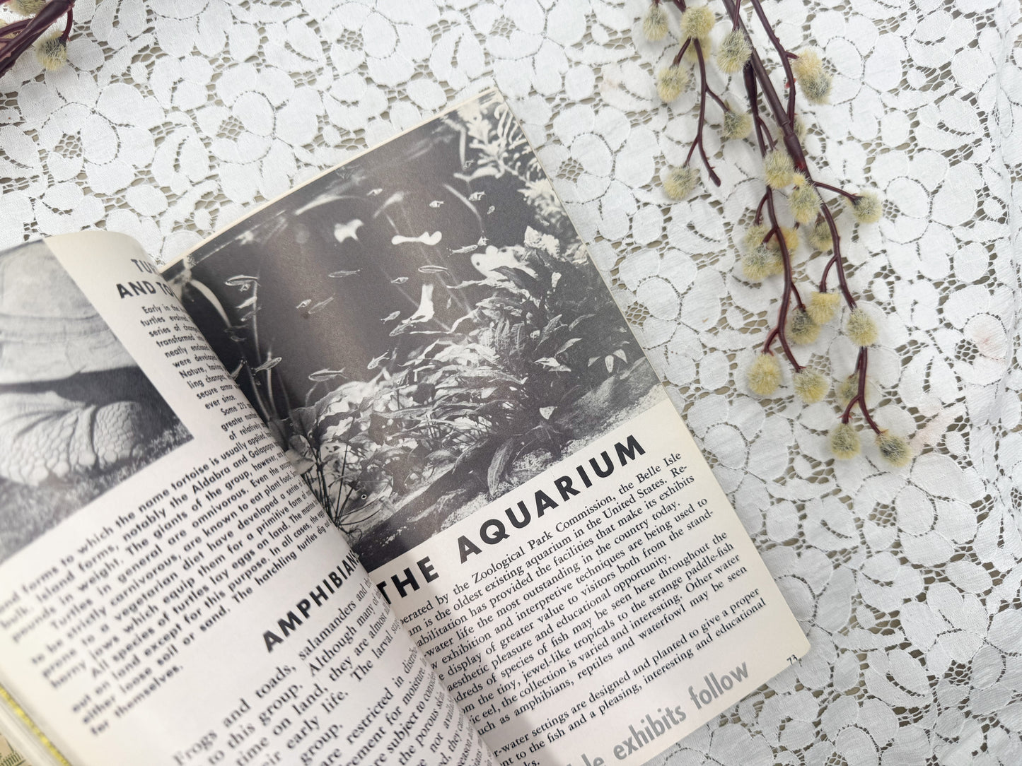Vintage Michigan Books