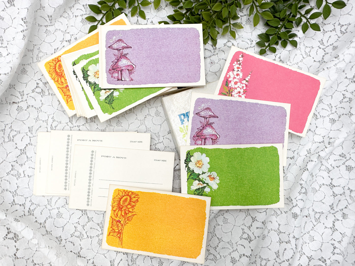 Postcard Kit