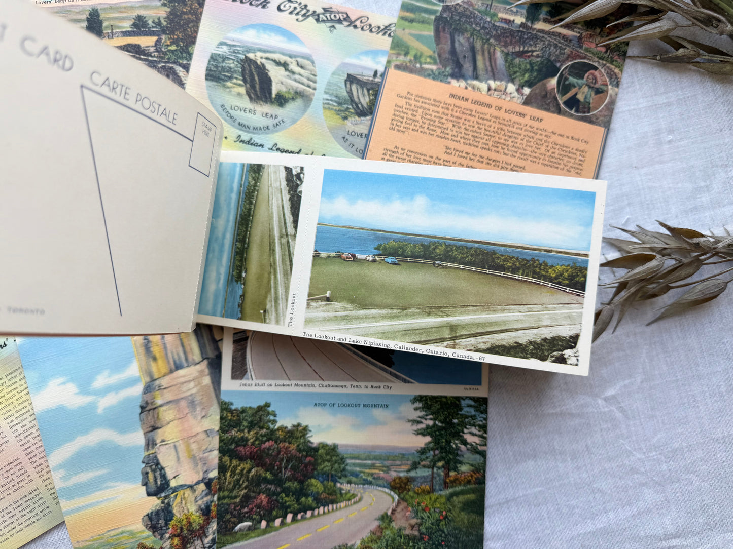 Vintage Postcard Set