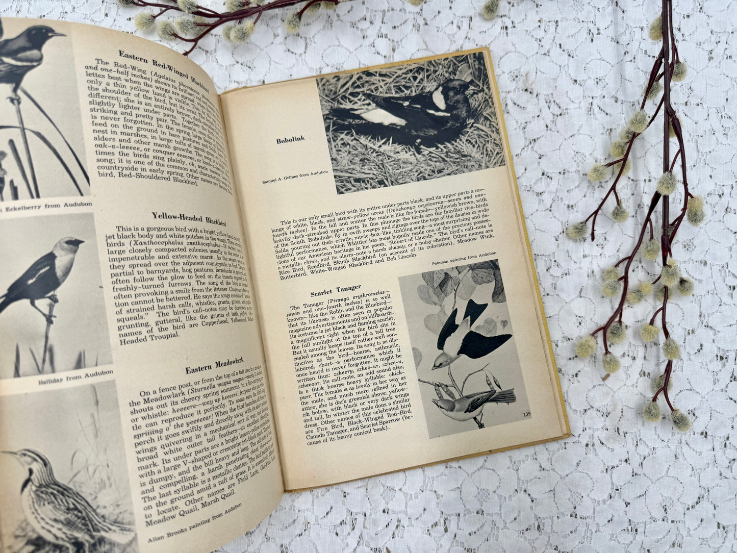 Vintage Bird Book