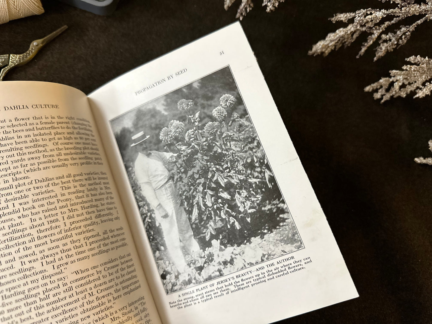 Beautiful Vintage Book