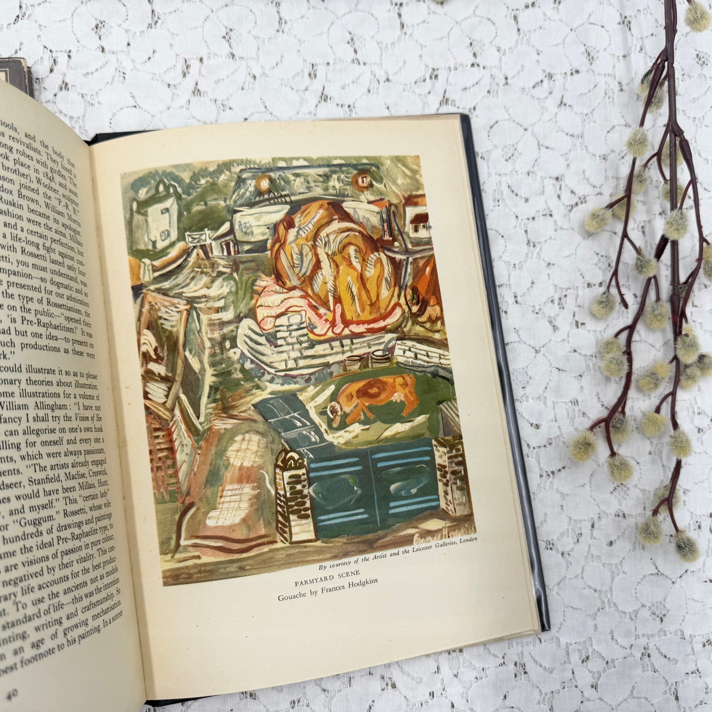 Illustrated Book Set