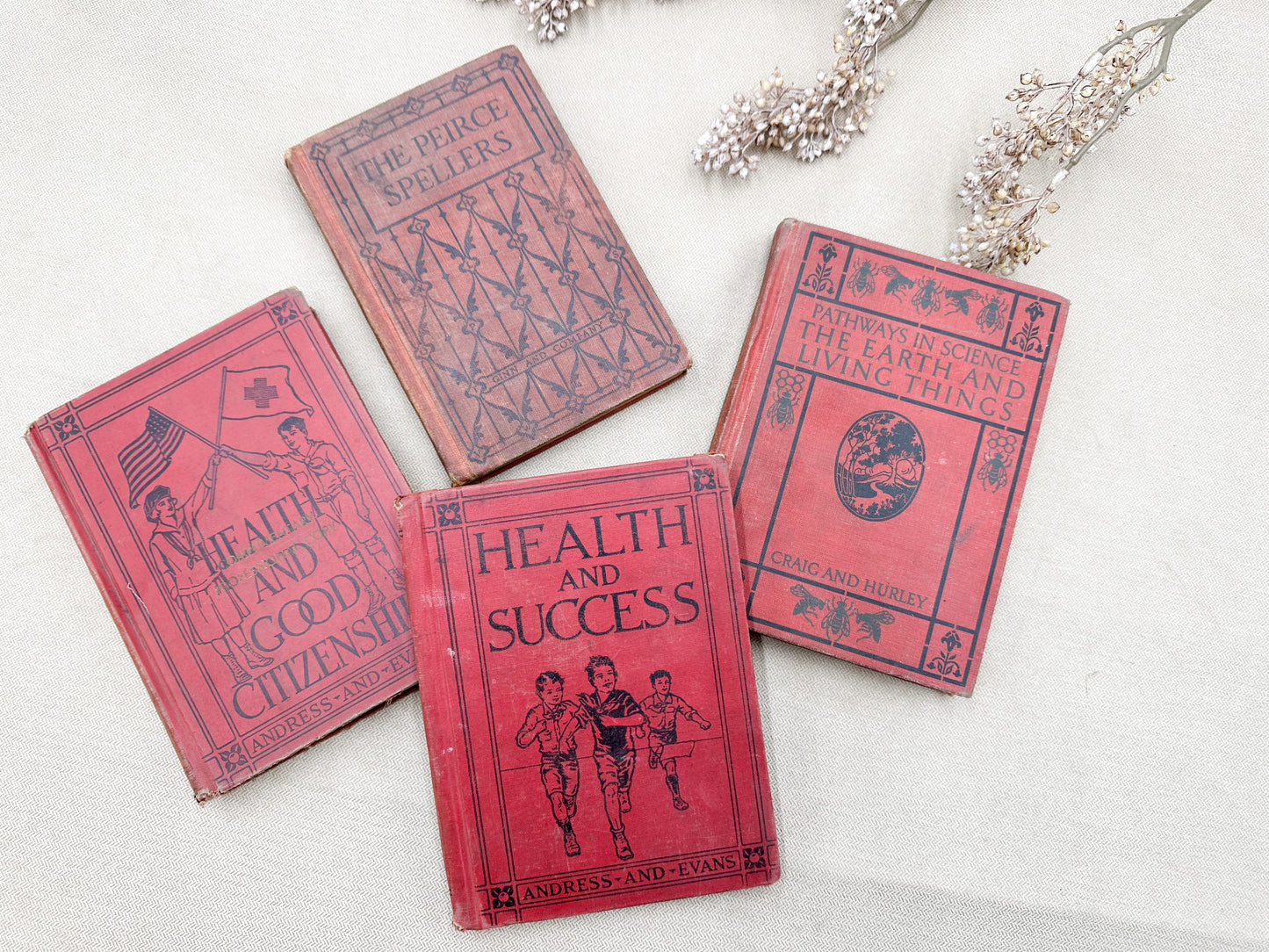 Vintage Textbook Set of Four