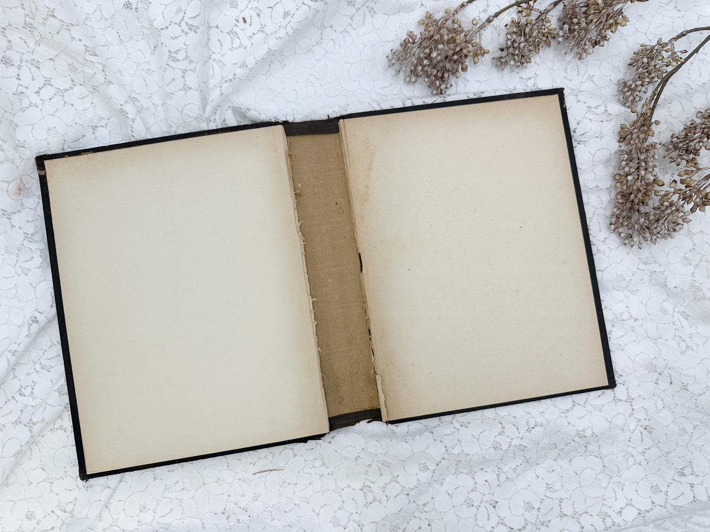 Vintage Book Cover