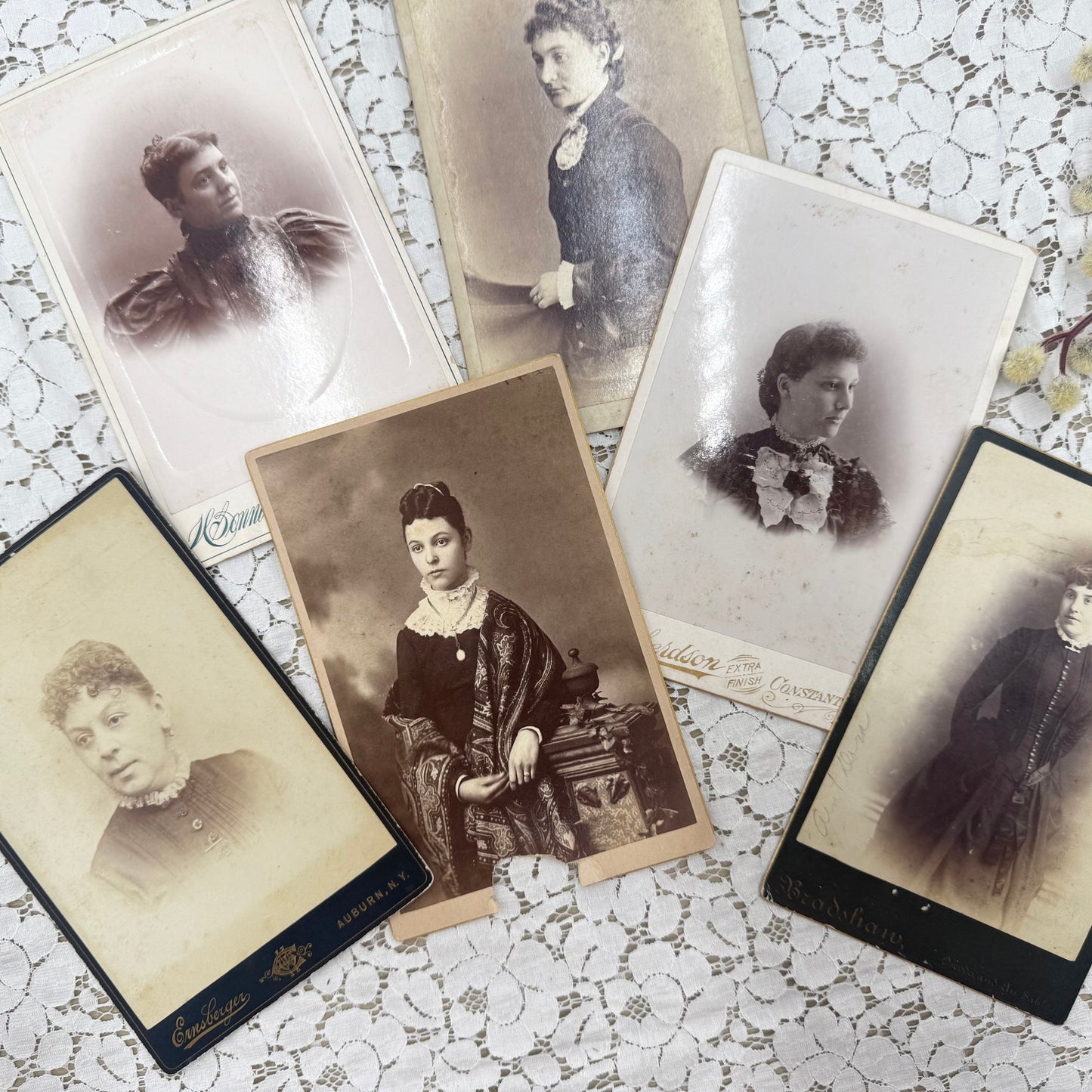 Vintage Photograph Set