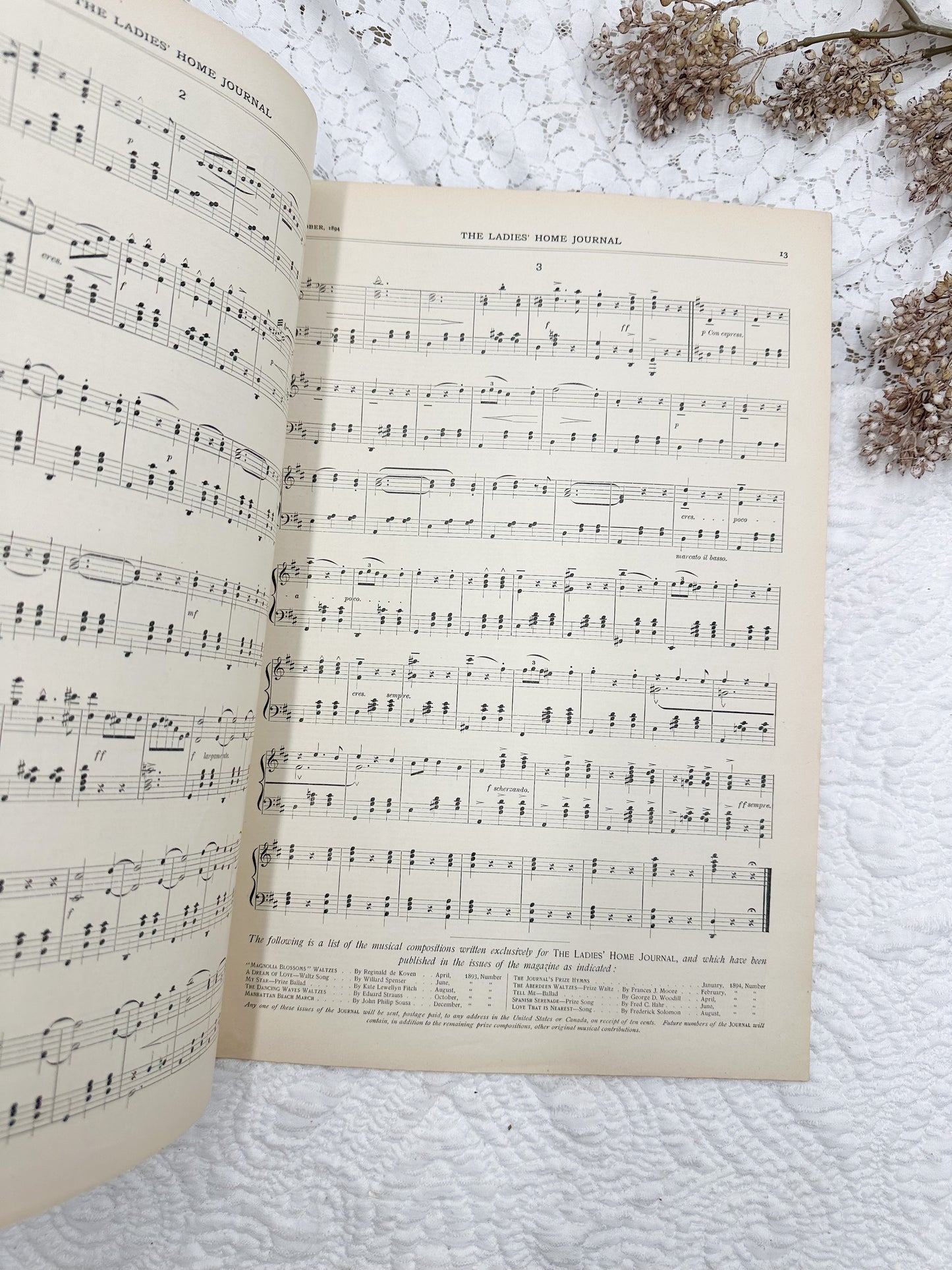1894 Ladies Home Journal Magazine