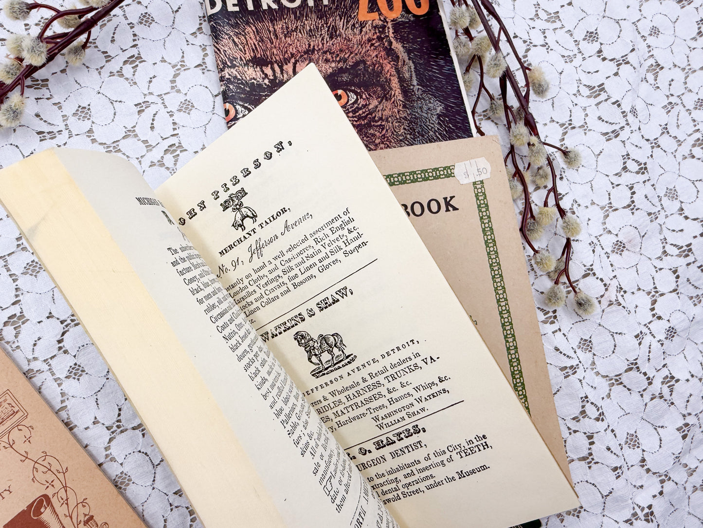 Vintage Michigan Books
