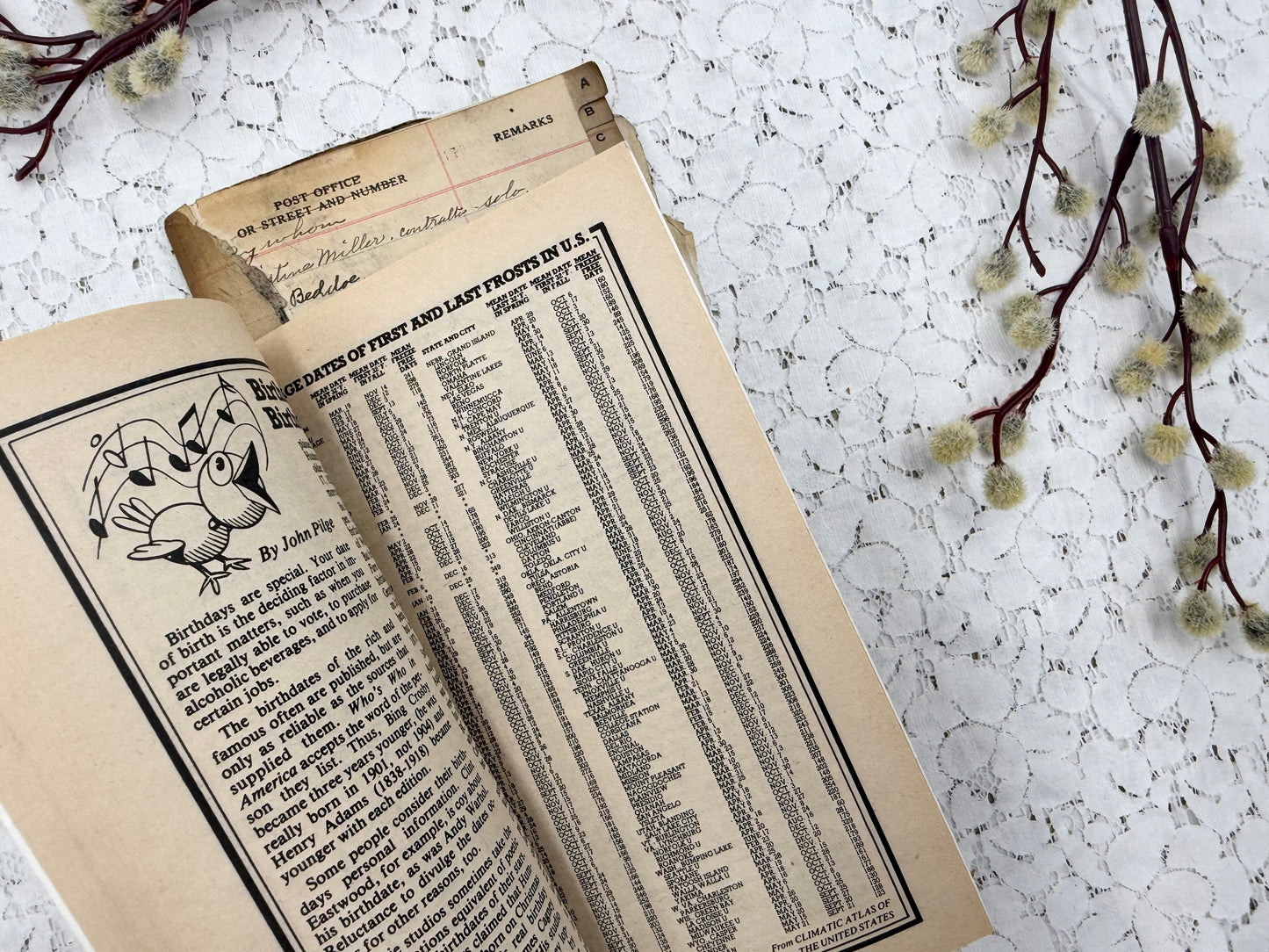 Vintage Booklet Set