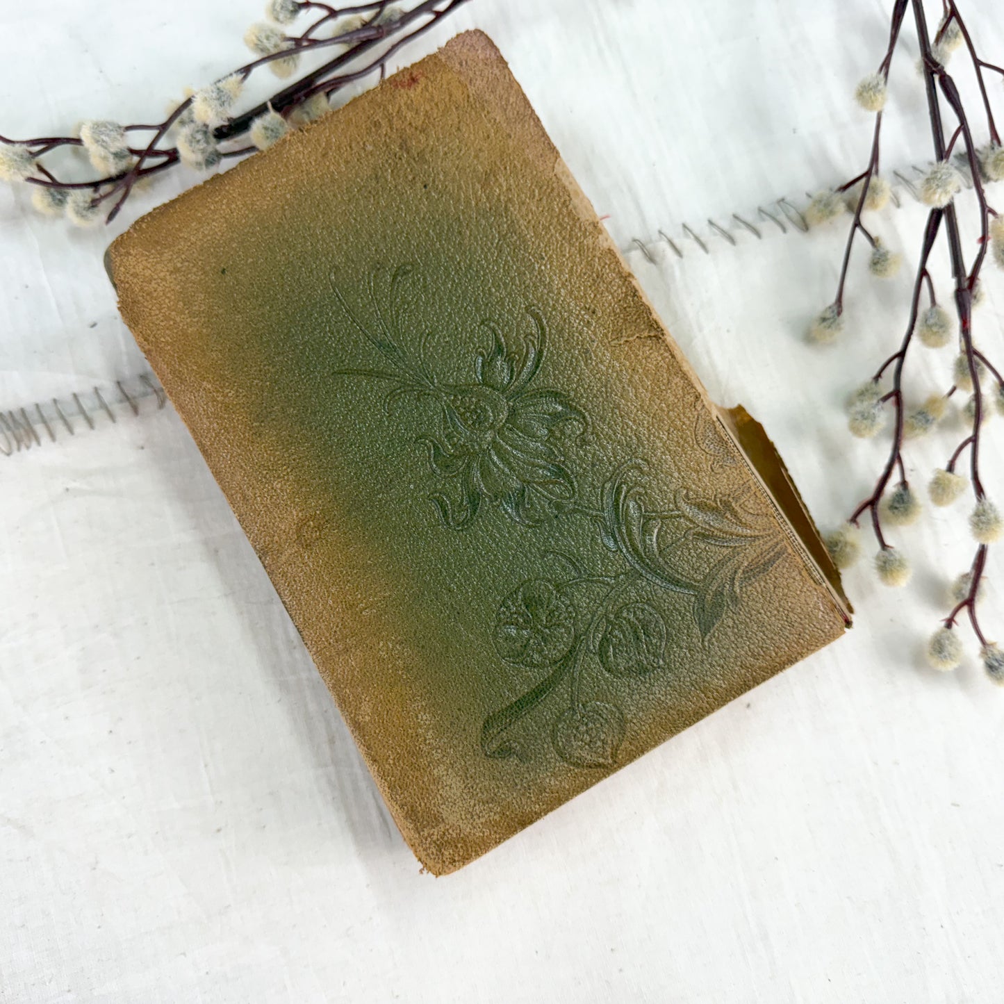 Tattered Lucile Book