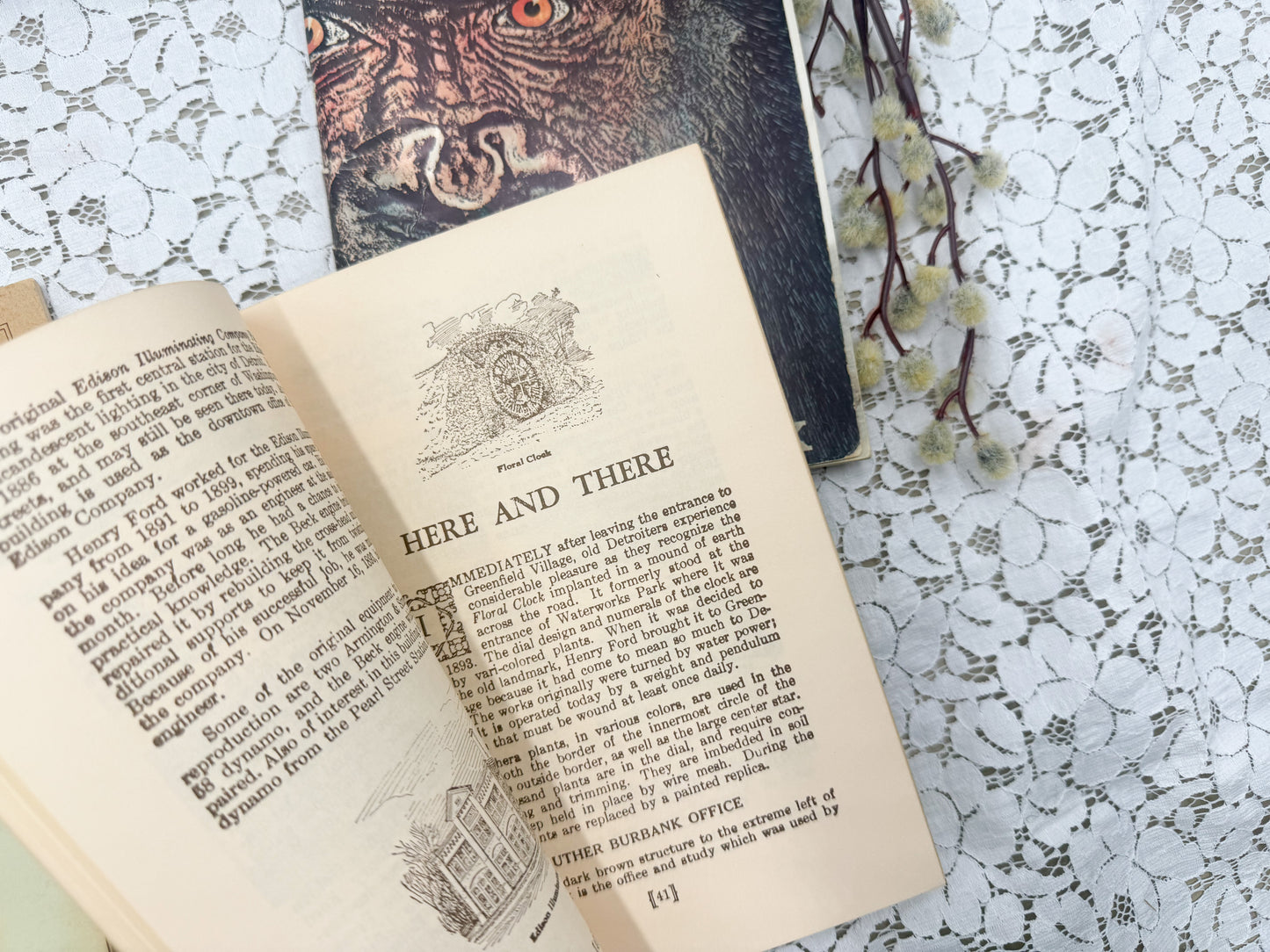 Vintage Michigan Books