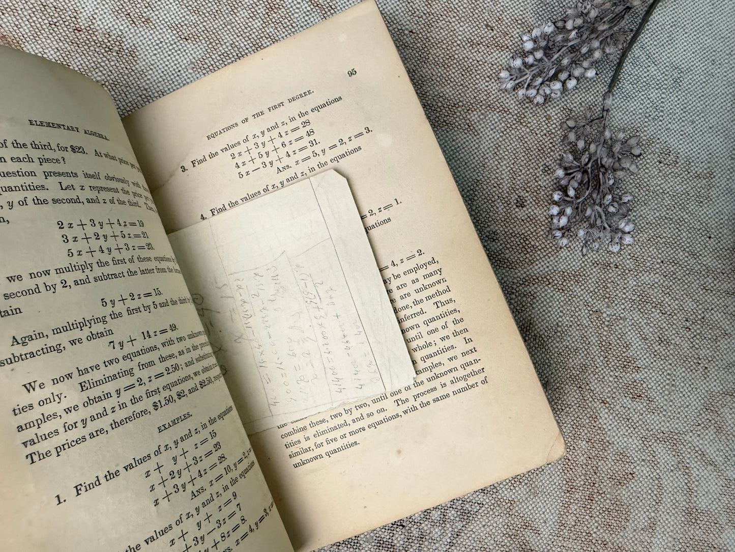 Vintage Textbook Set